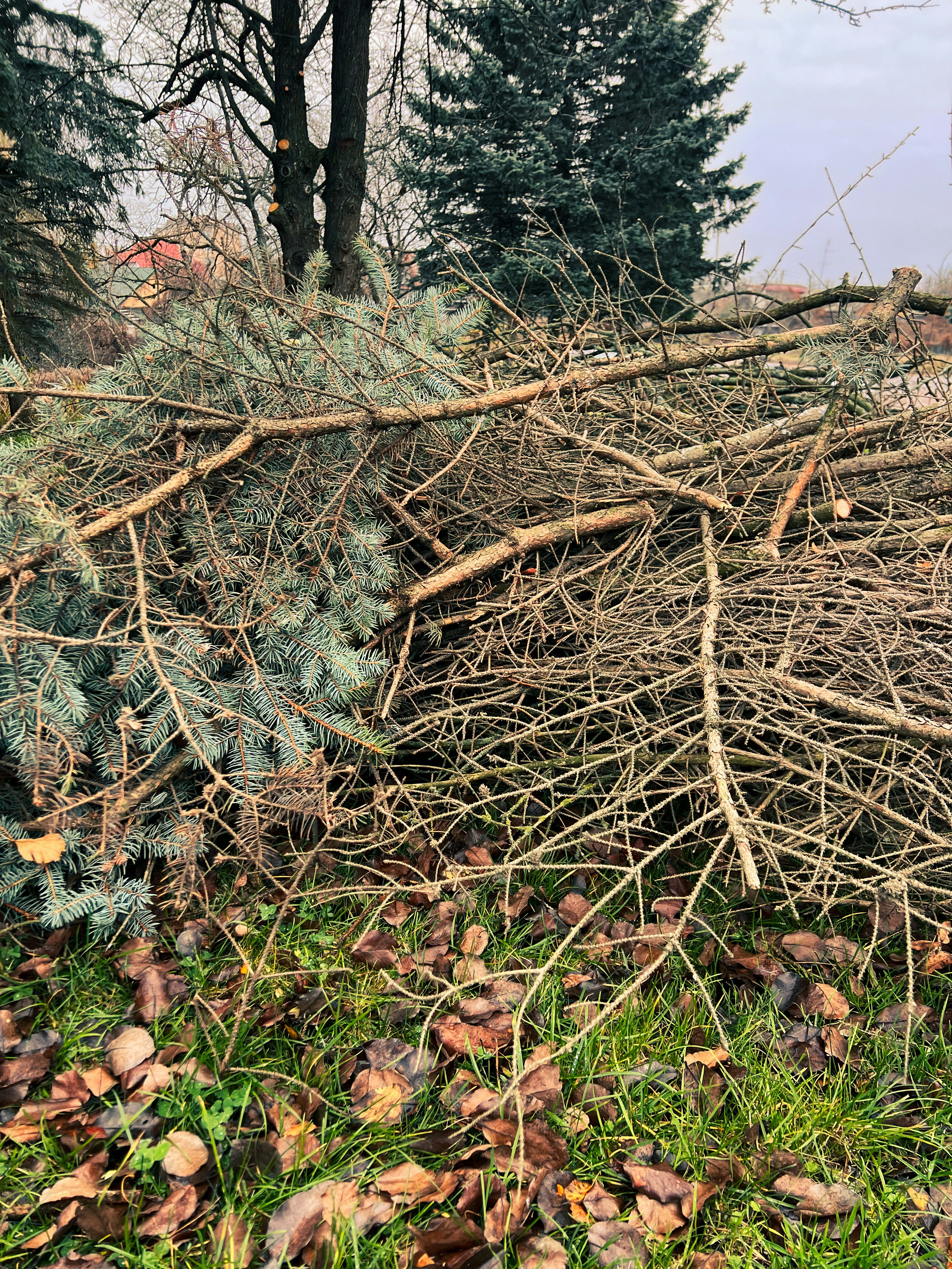 Yard Waste