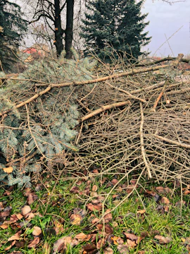 a pile of branches and leaves
