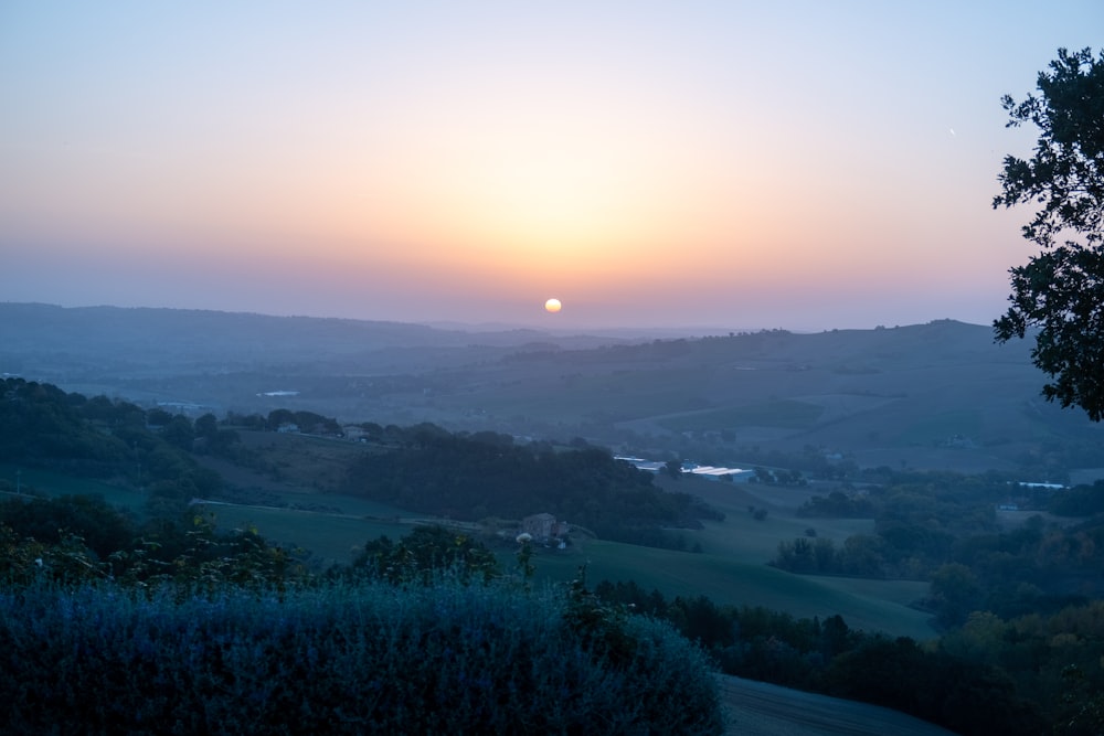 a landscape with trees and a body of water in the distance