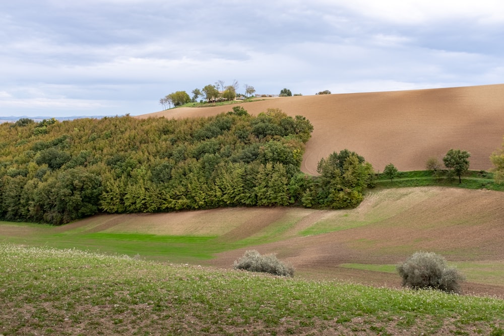 un parcours de golf arboré