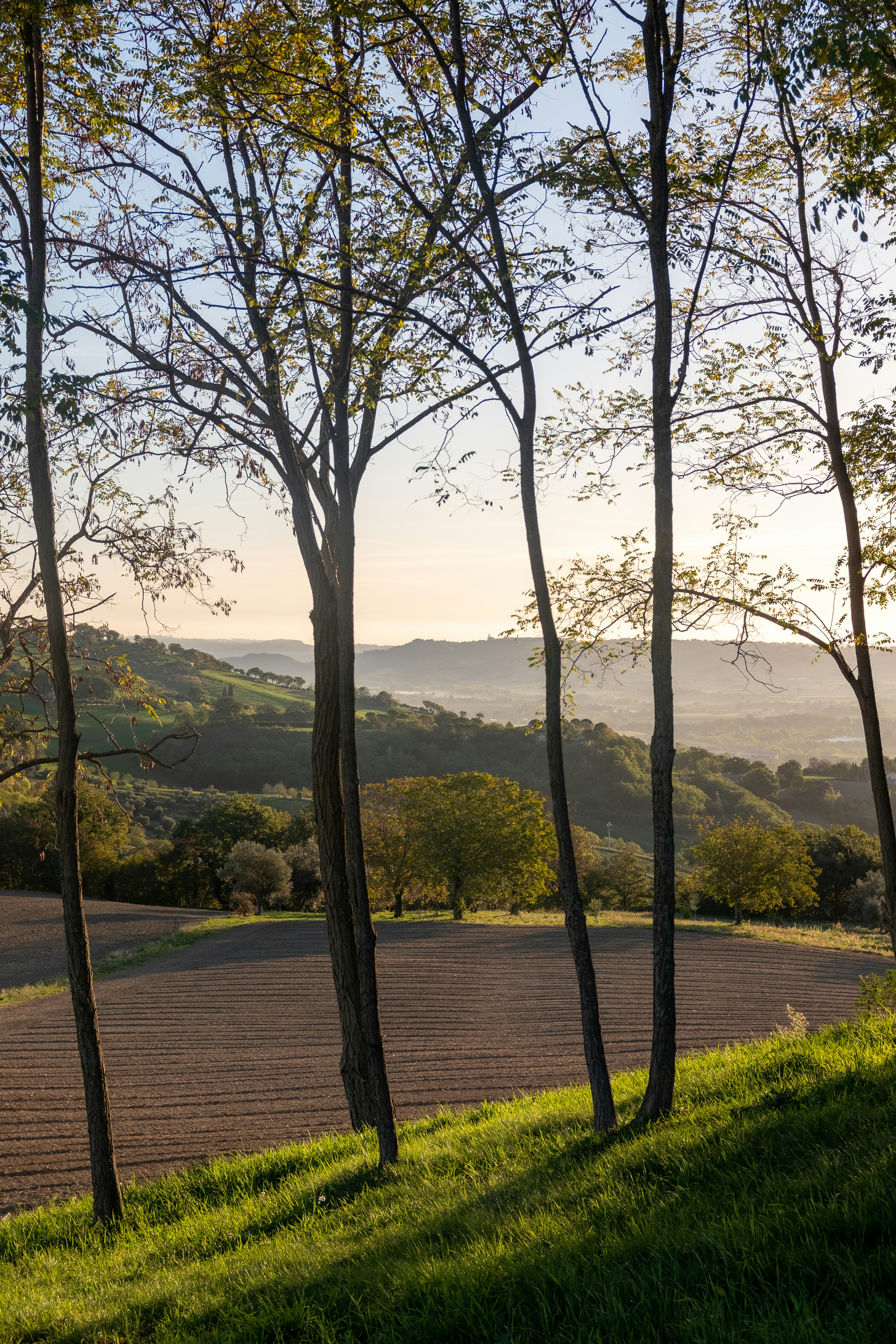 Photo by bernardhermant