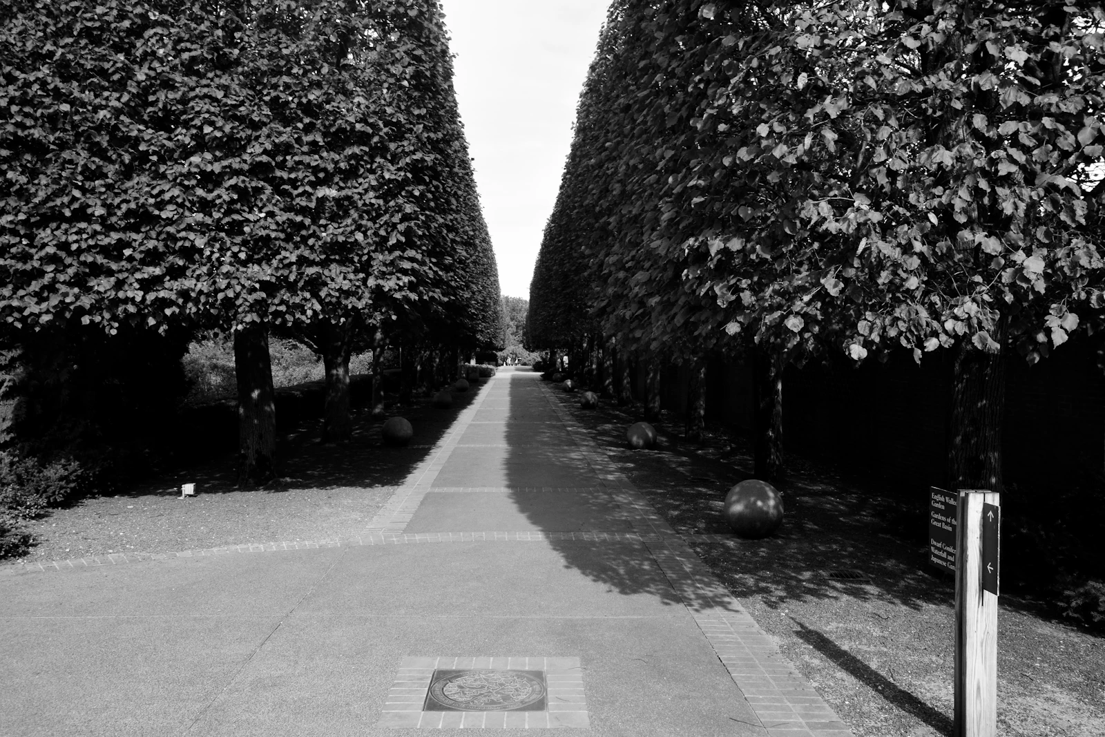 Nożyce do żywopłotu i świeżo przycięta krawędź szpaleru