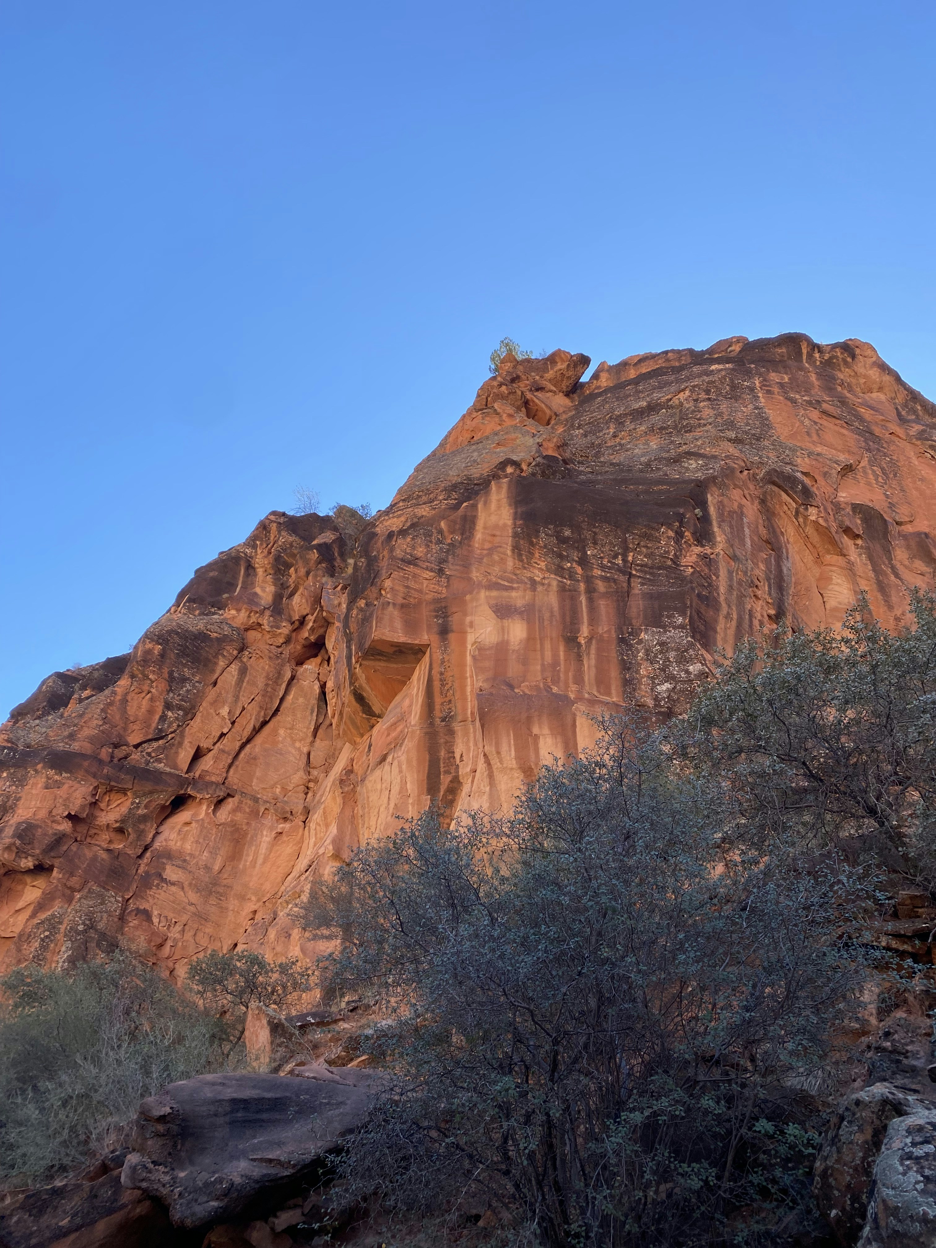 Photo by lacey_coles