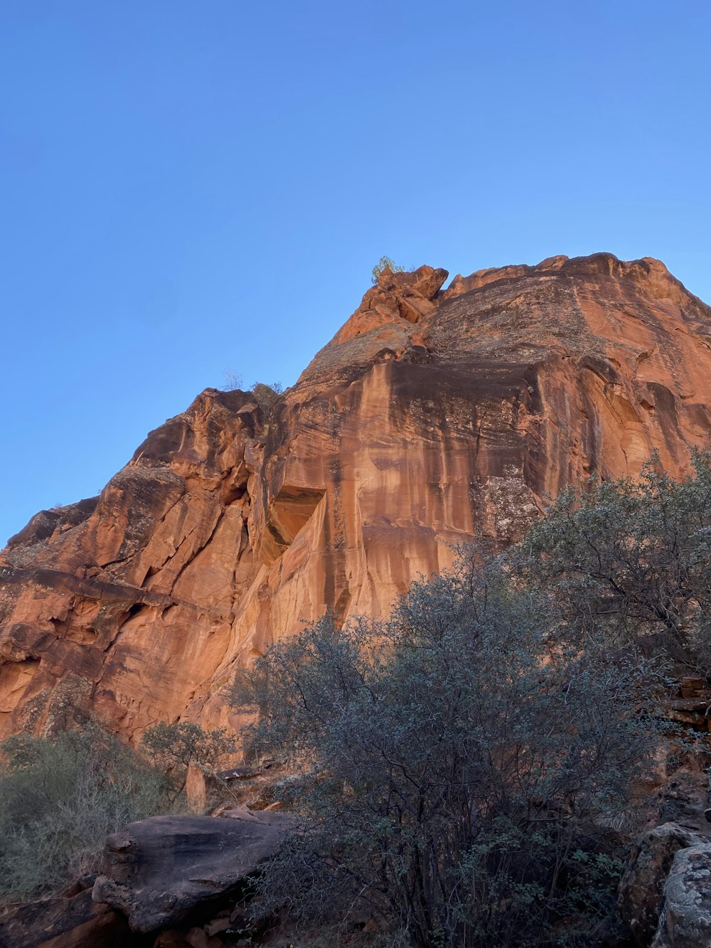 a rocky mountain with trees