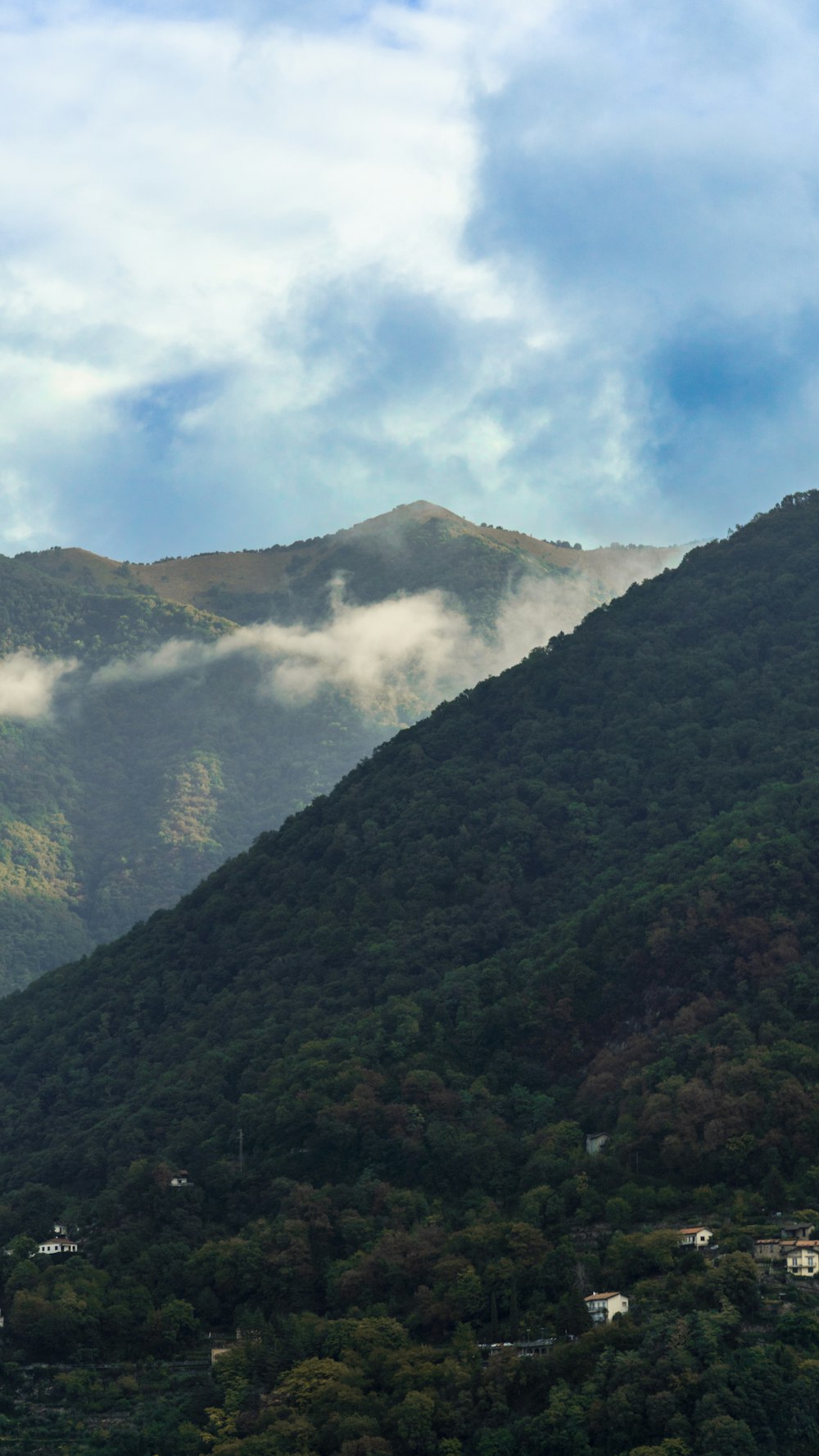 a mountain with trees below