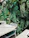 A happy customer enjoying a lush green terrace designed by Verdeaura.