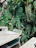 A happy customer enjoying a lush green terrace designed by Verdeaura.