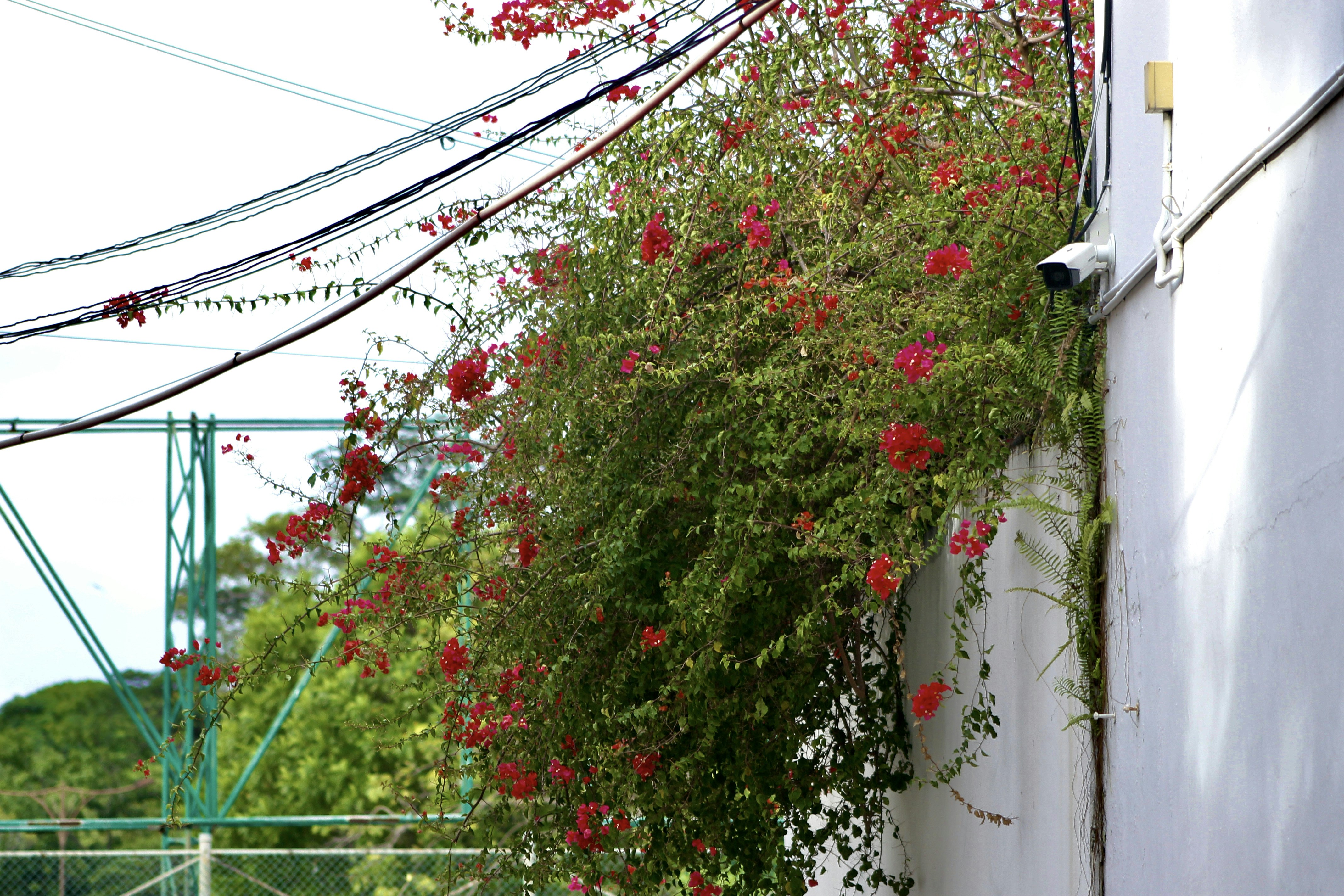 Photo by uravrgphotographer_2611