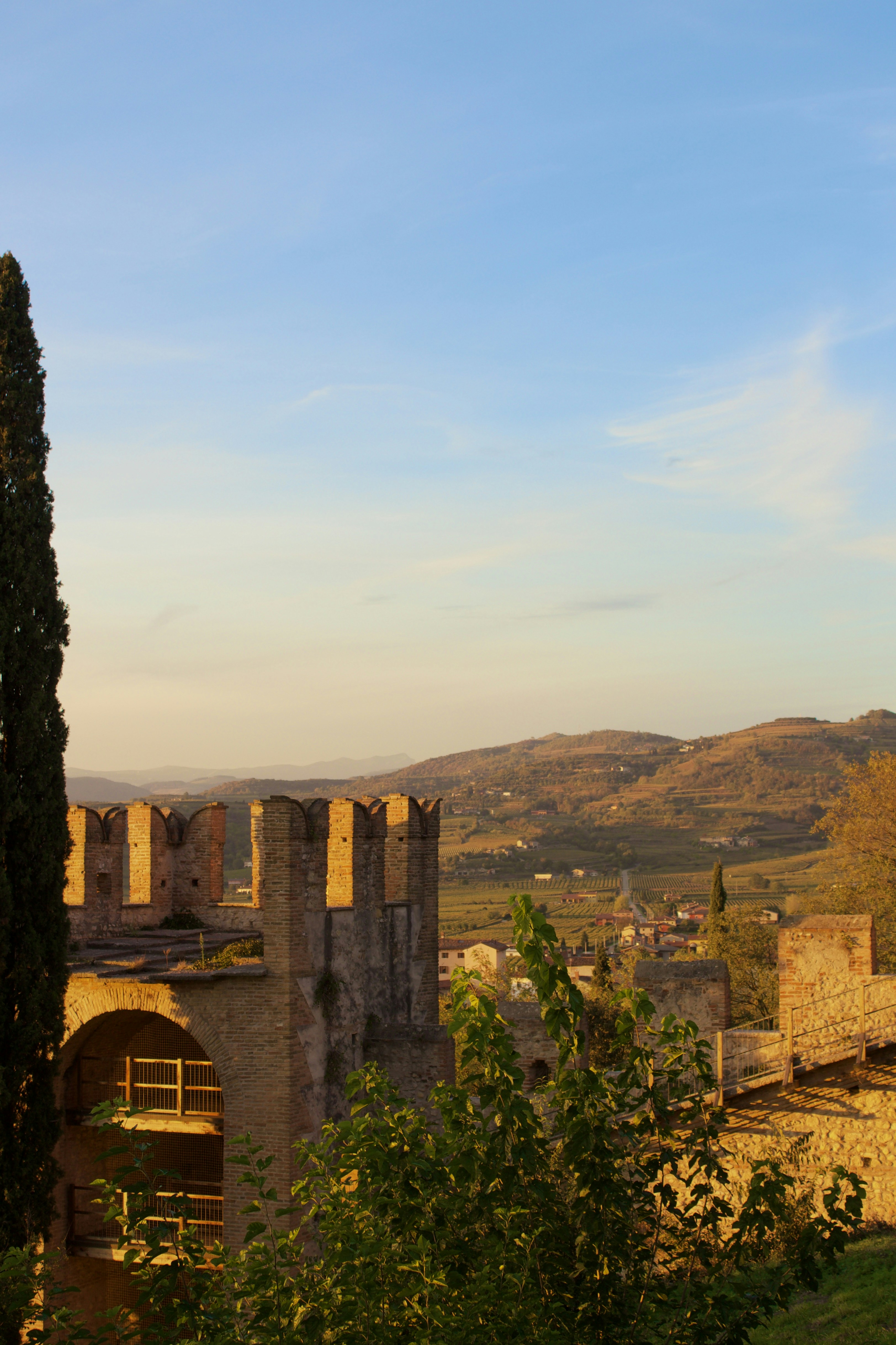 Photo by photosbyedoardo