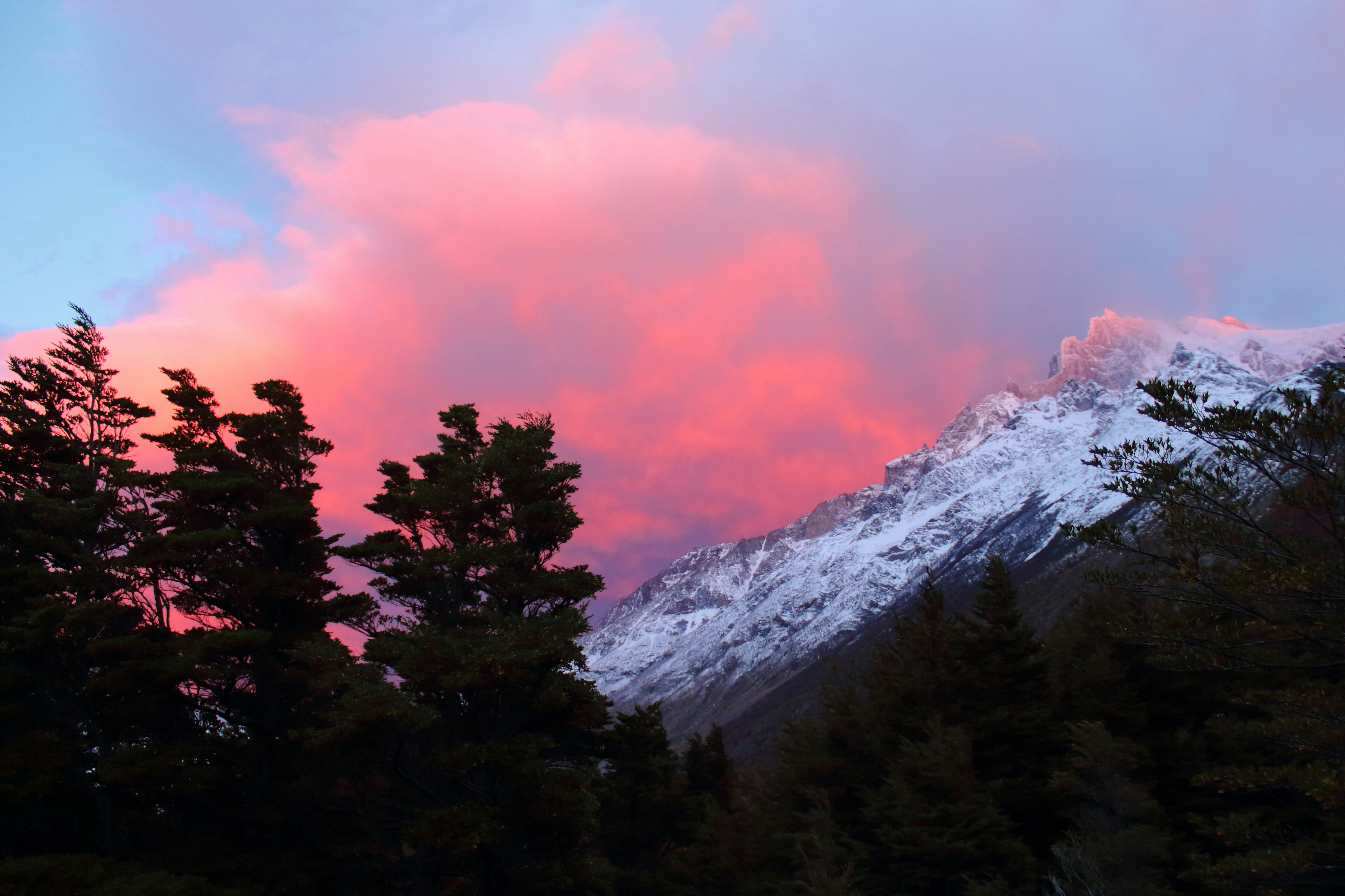 a snowy mountain with trees