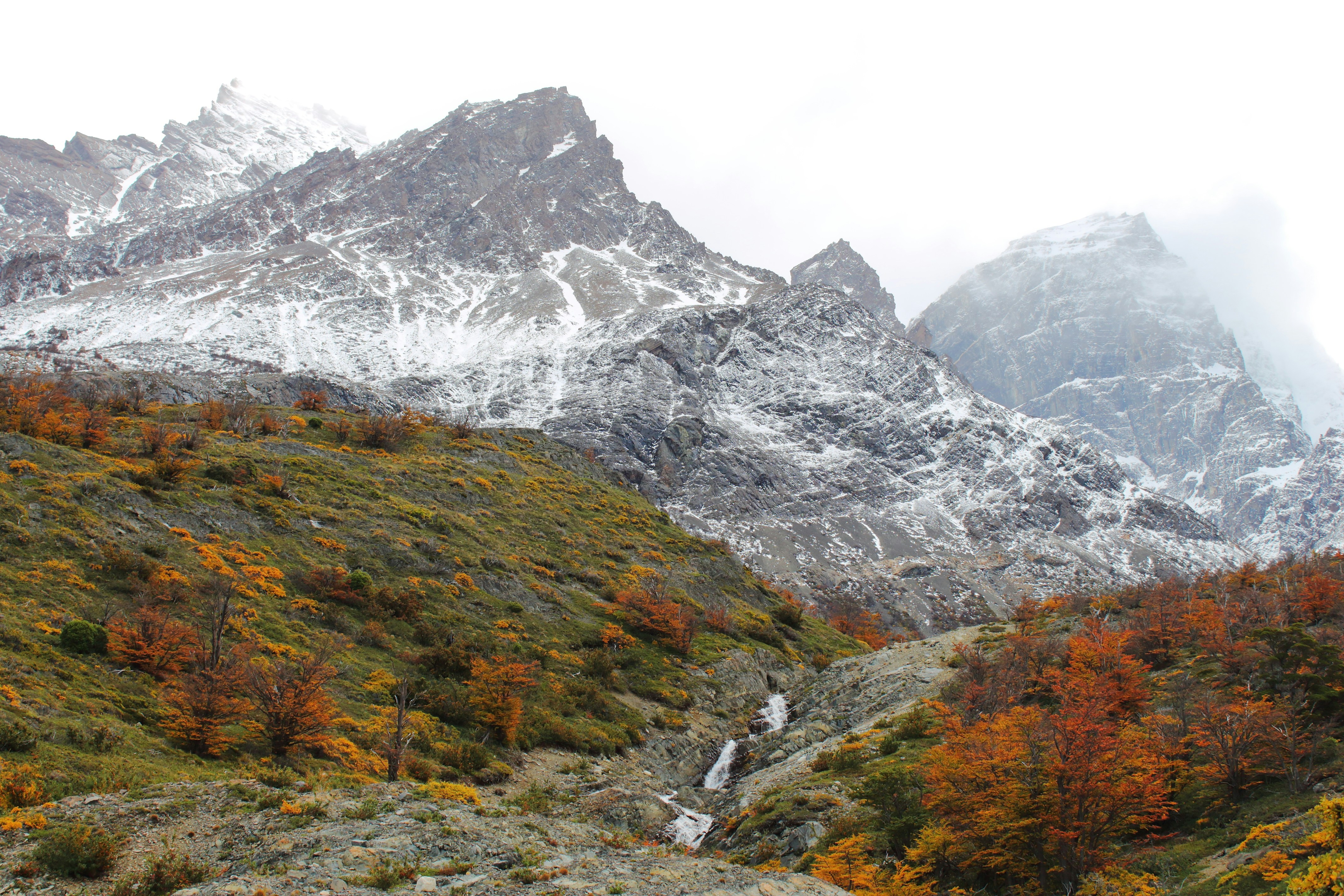 Photo by karlarobinson