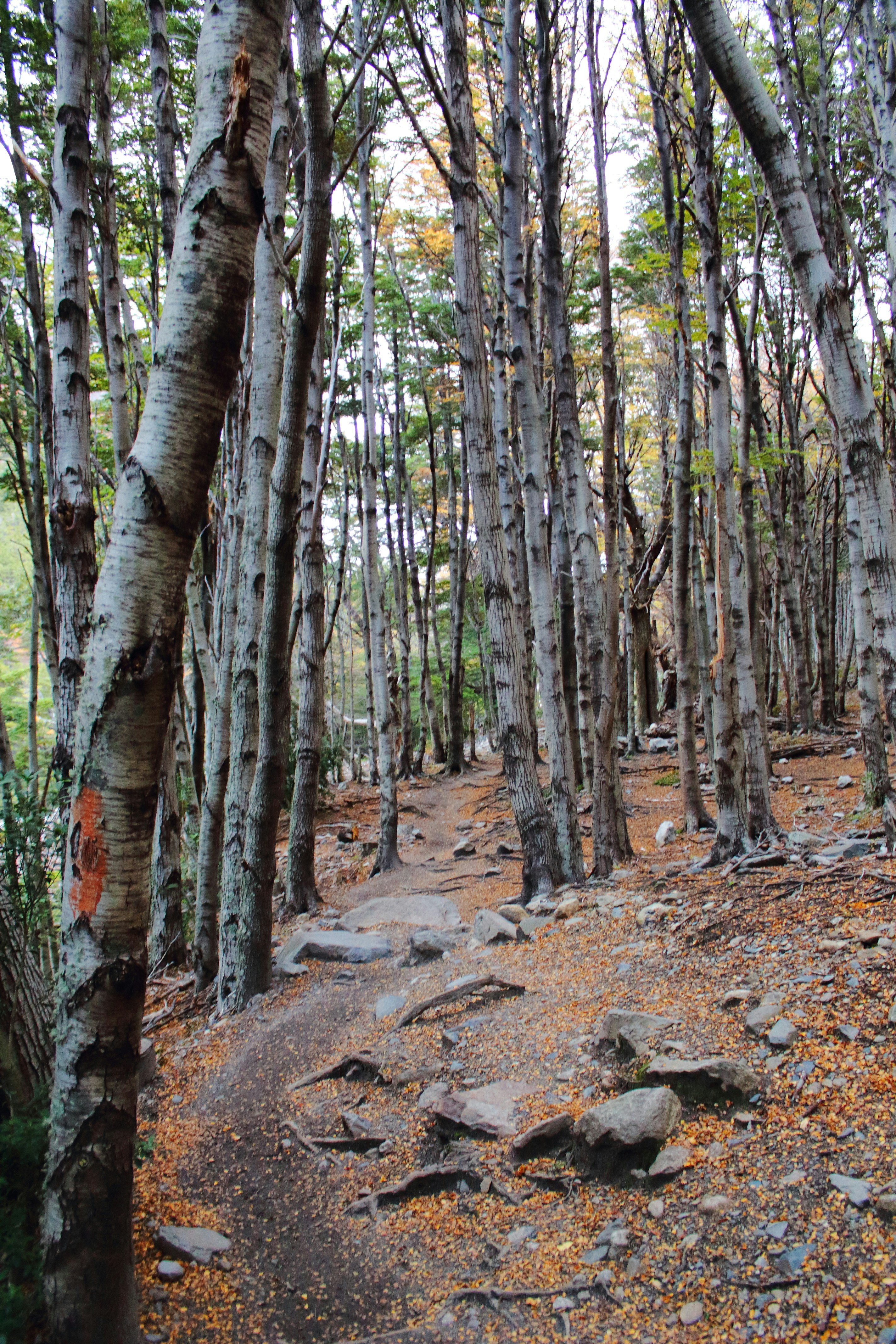 Photo by karlarobinson