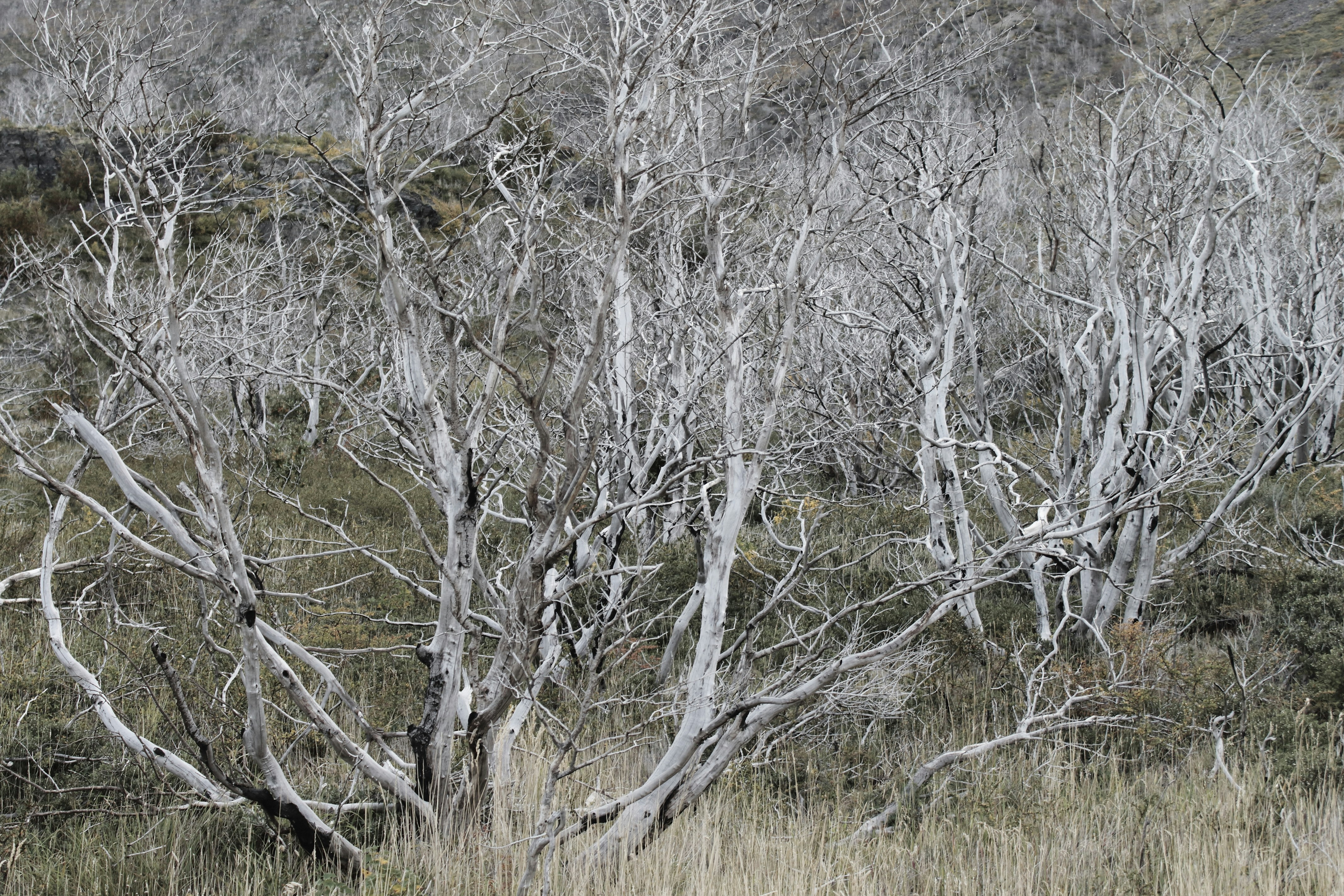 Photo by karlarobinson