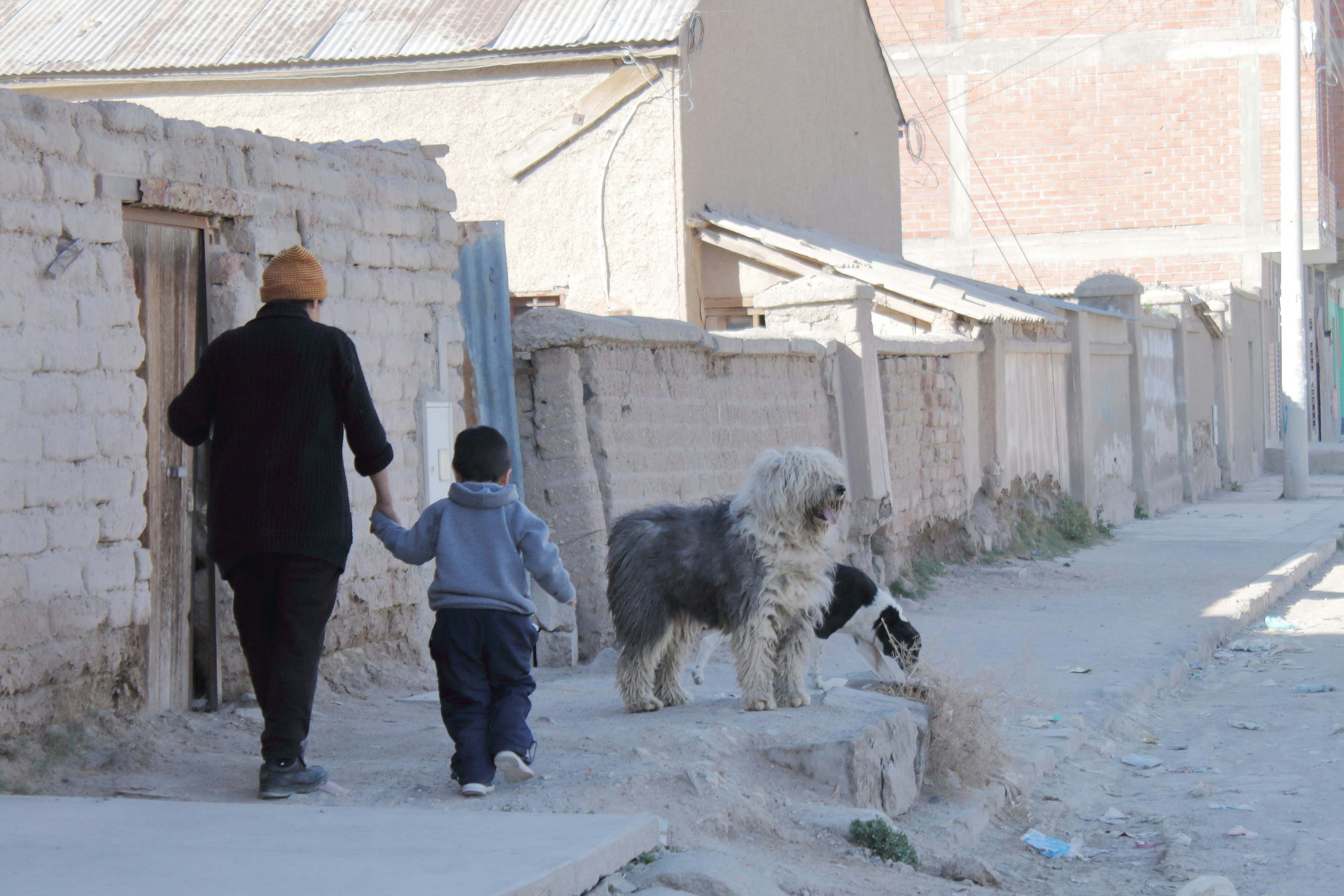a person and a child walking a dog