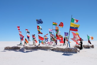 a group of flags on a beach