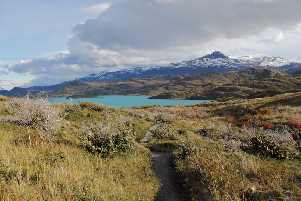 a dirt road leading to a lake