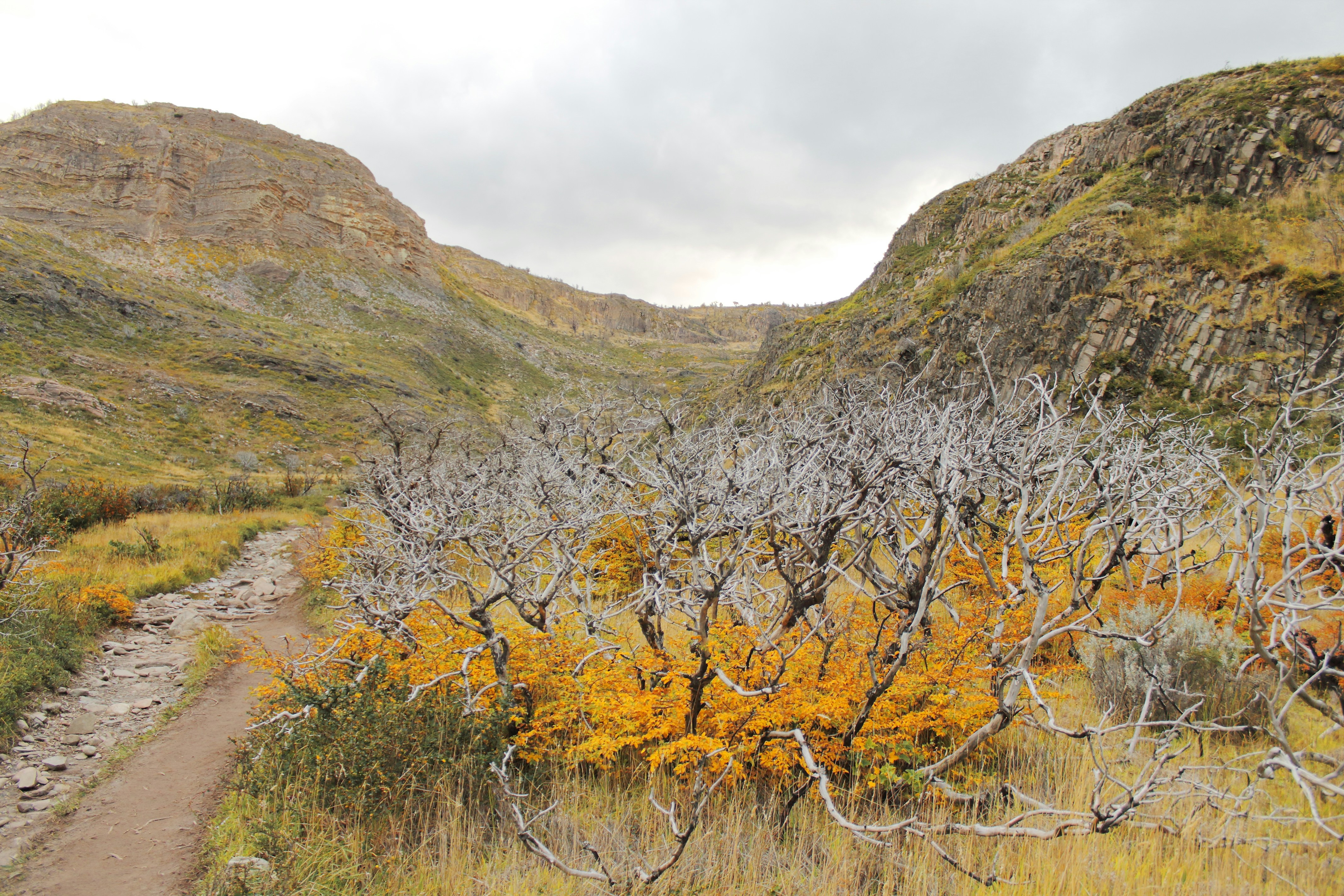 Photo by karlarobinson