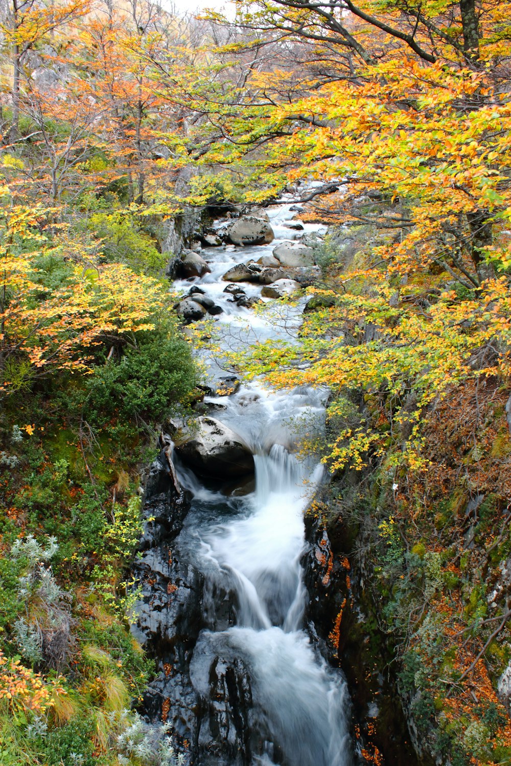 a small waterfall in a forest