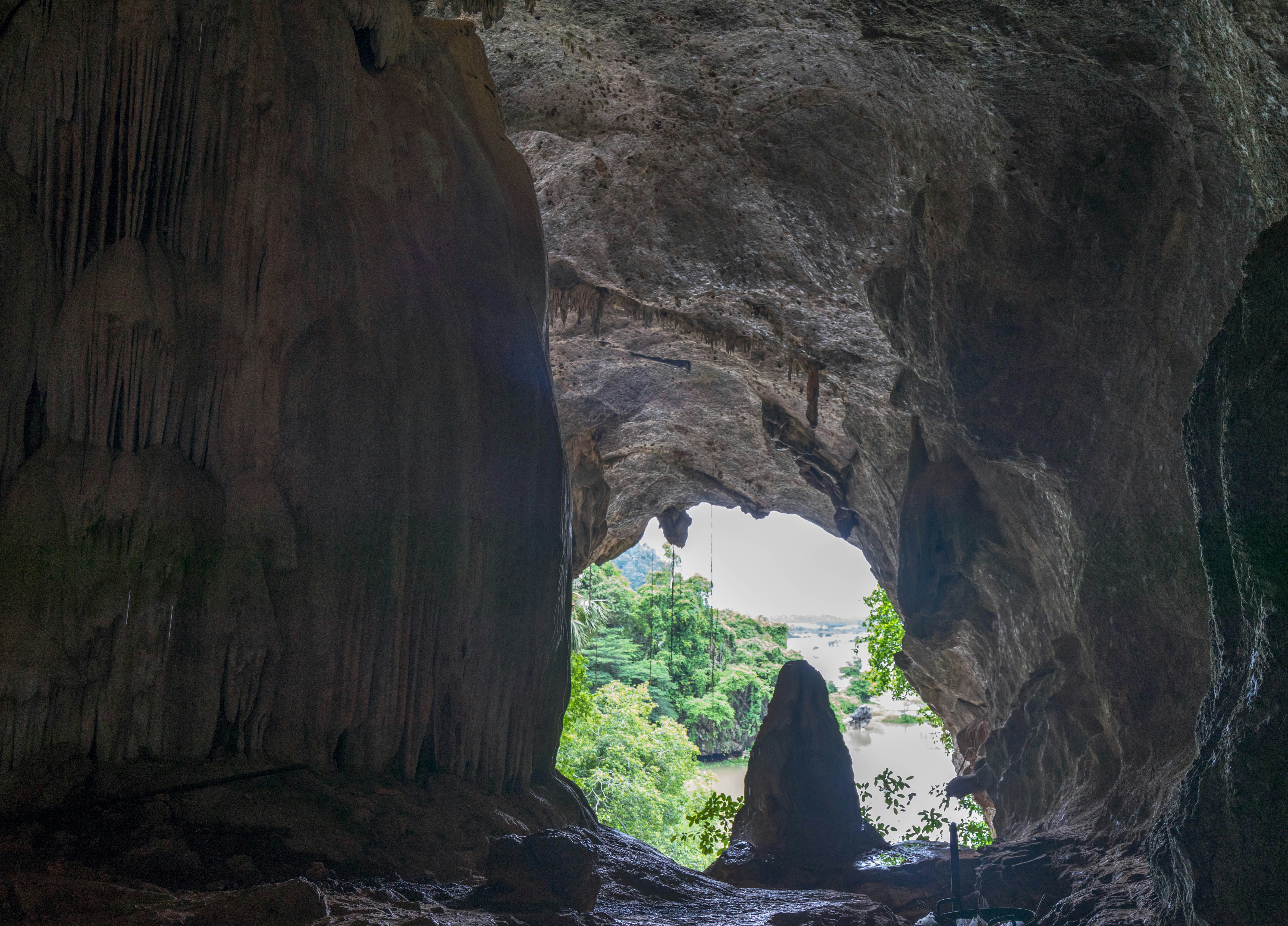 a cave with a view of a forest and a river