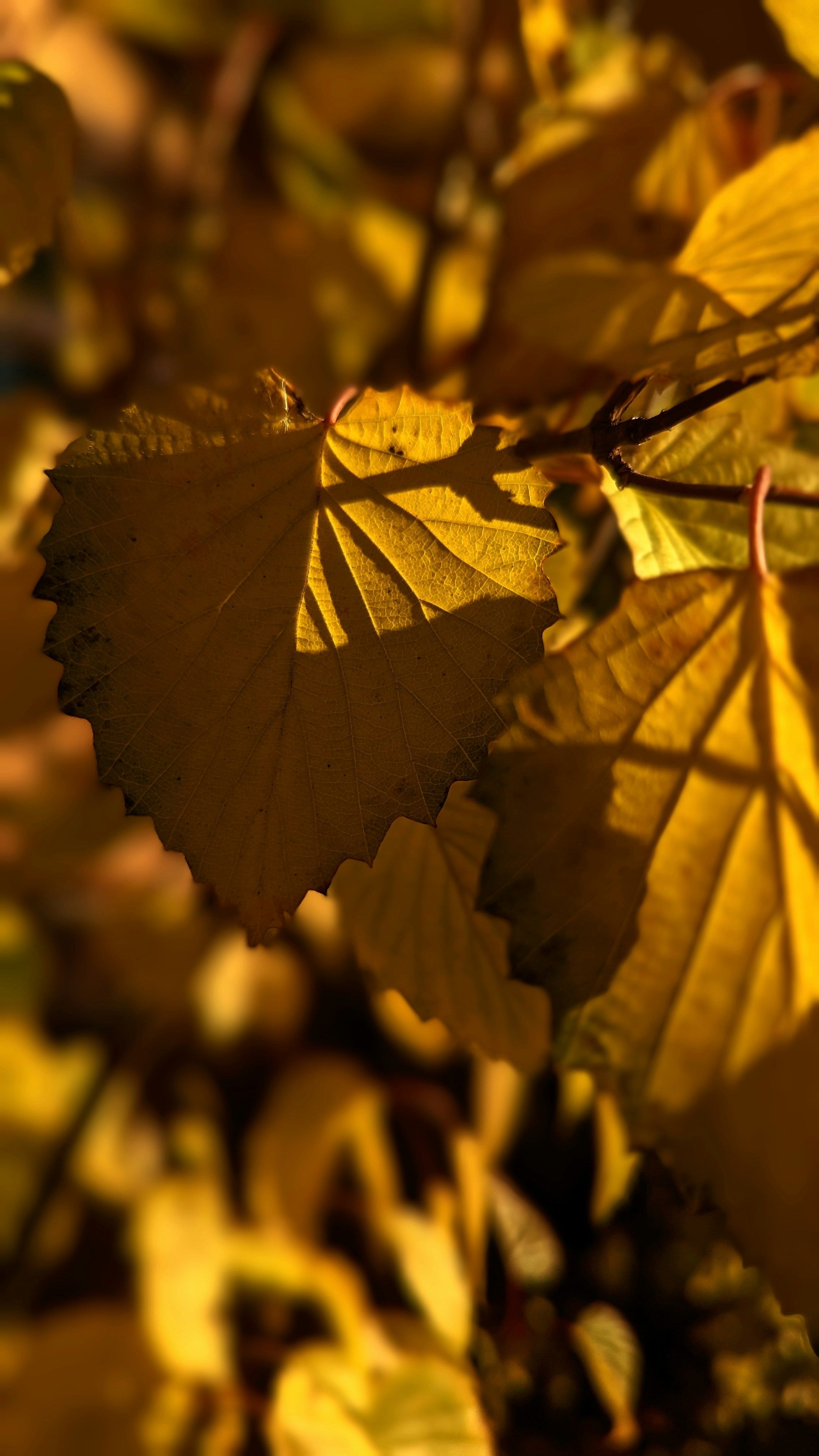 Photo by bridjett_renae_photography