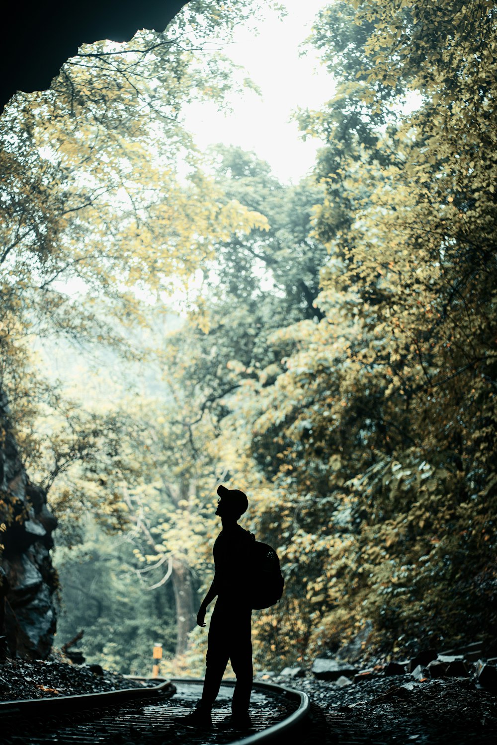 a person standing on a path surrounded by trees
