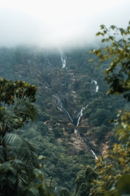 a waterfall in a forest