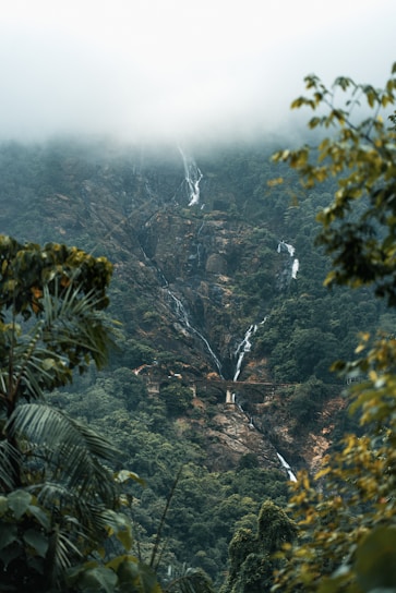 a waterfall in a forest