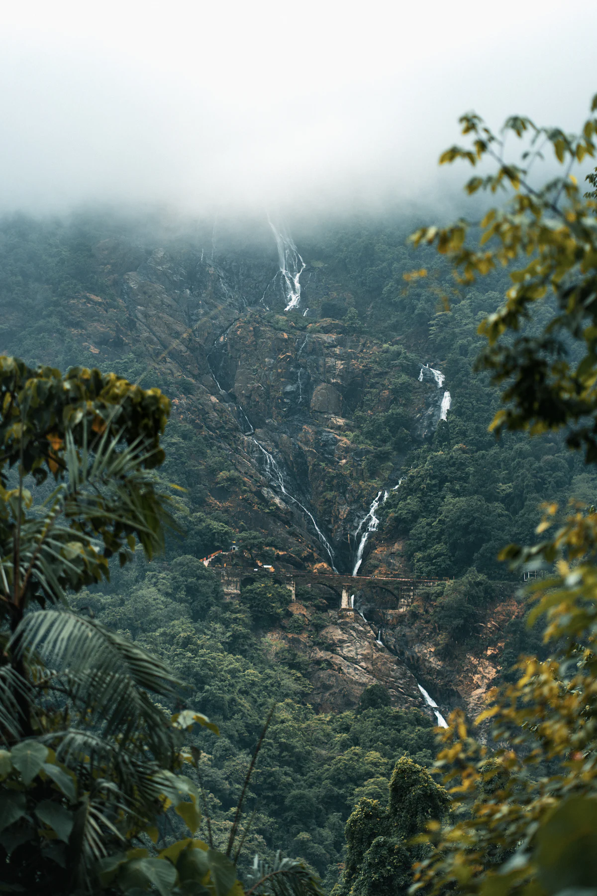Amboli