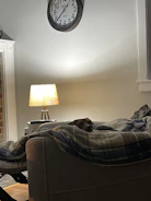 A cozy living room with a foster dog resting on a soft blanket.