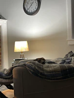 A cozy corner with a foster dog resting peacefully, surrounded by warm lighting and homey touches.