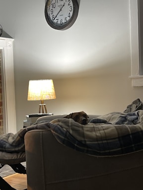 A cozy home for a loving pet.