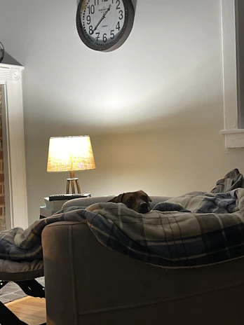 Cozy living room with a happy dog resting on a soft blanket beside a smiling caretaker.