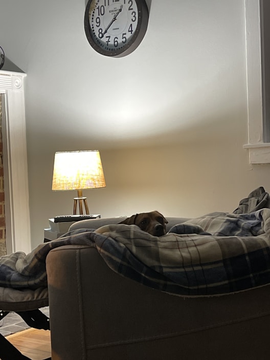 A cozy room with a lighted lamp on a small table near a wall adorned with a clock. A dog is comfortably nestled on a couch, partially covered by a plaid blanket.