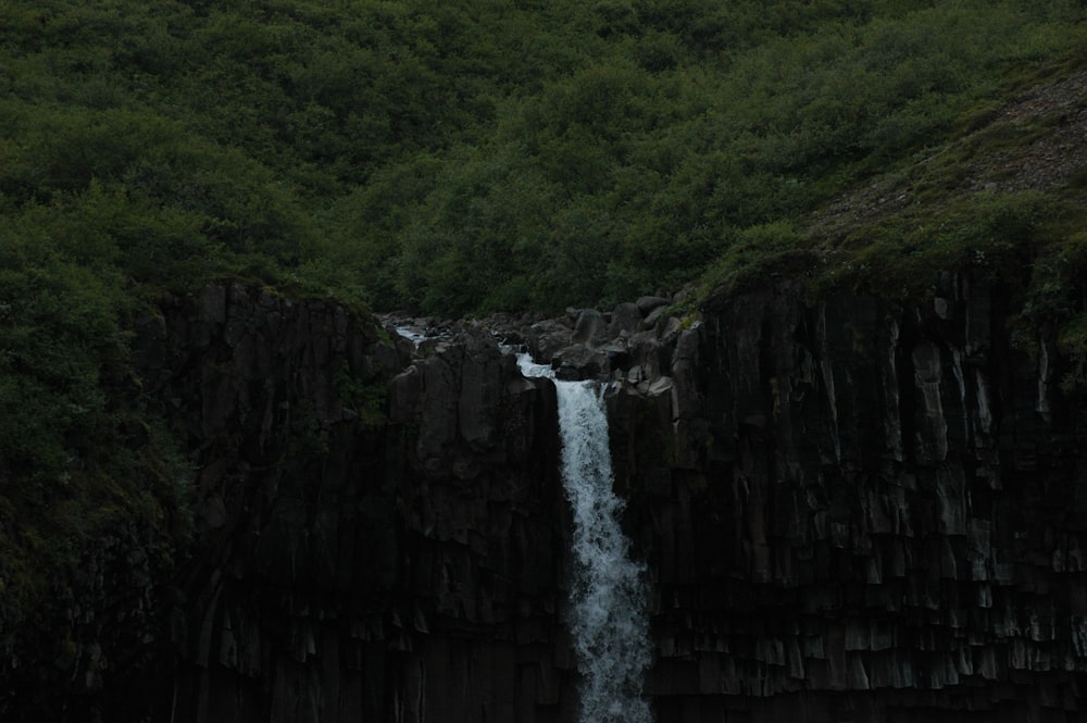 a waterfall in a forest