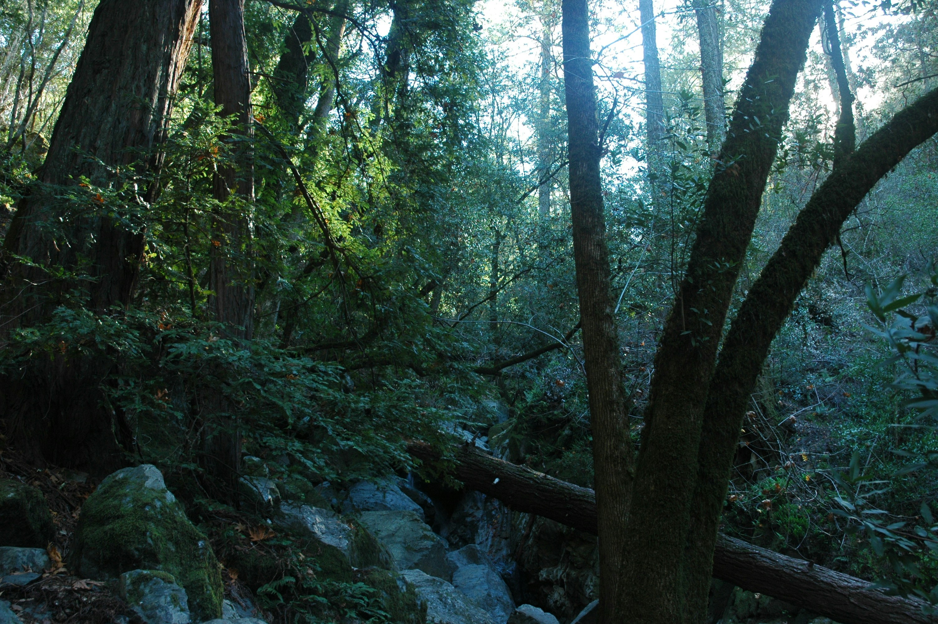 Photo by worldwidephotography