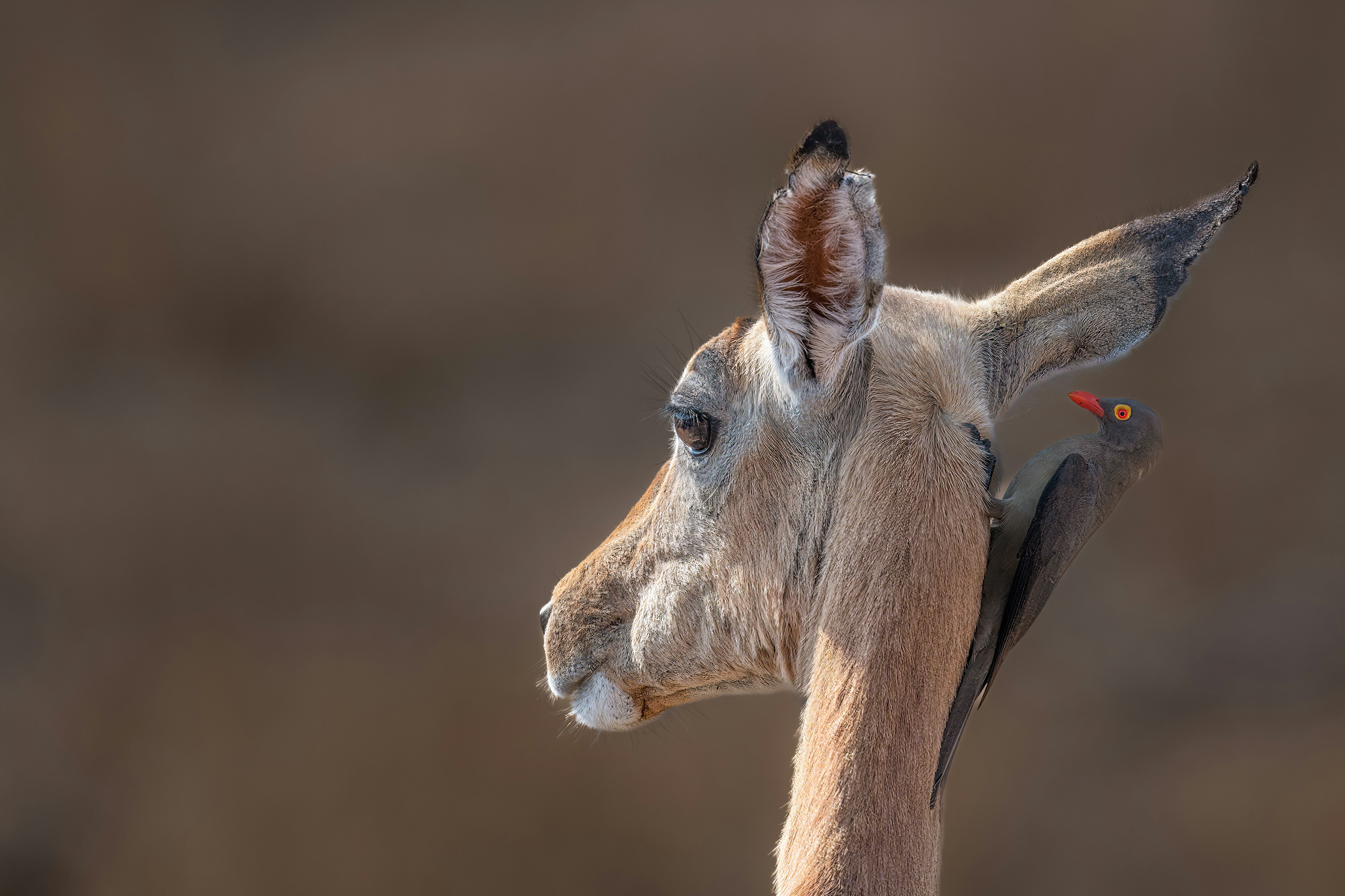 Photo by vincentvanzalinge