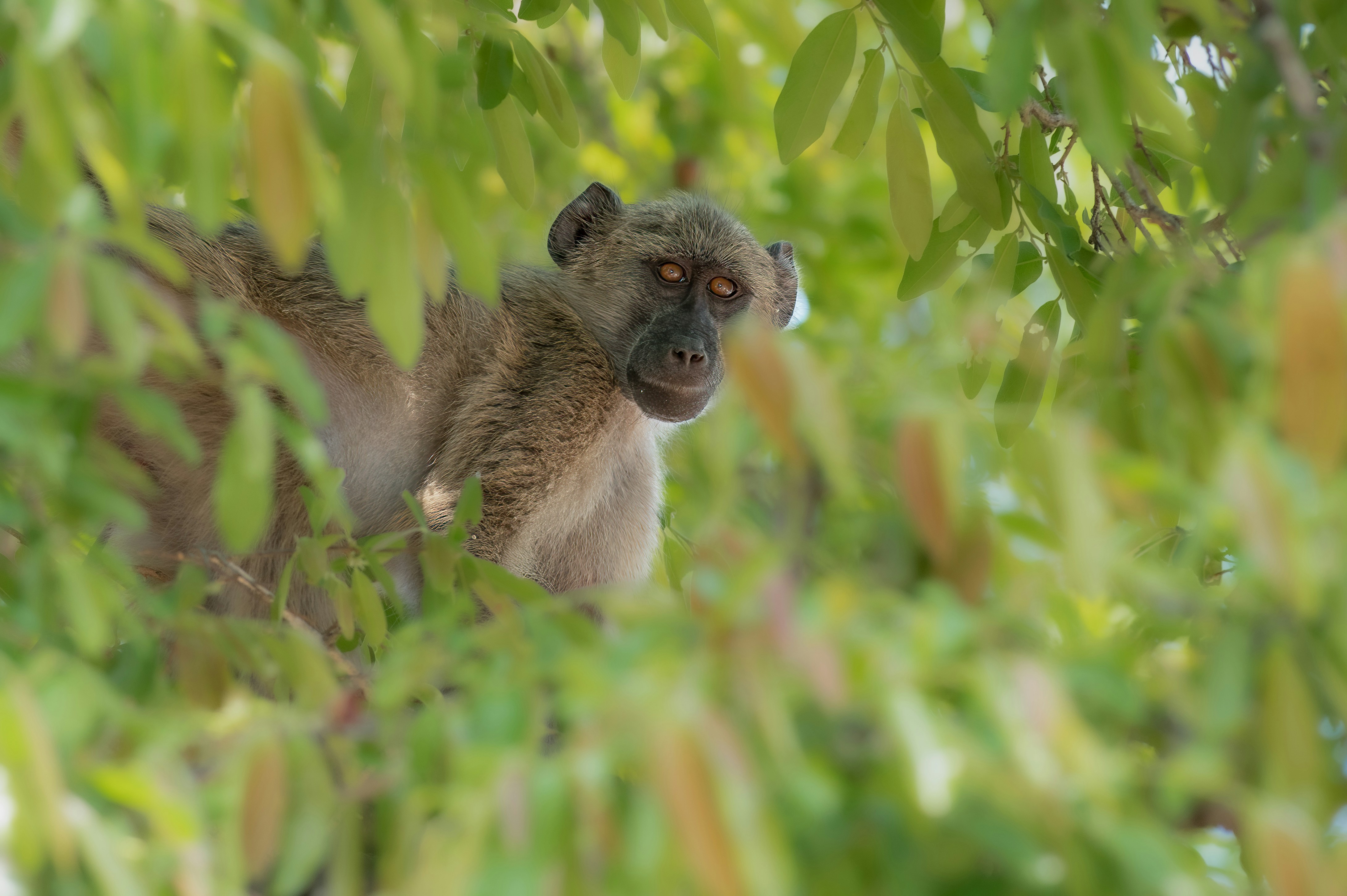 Photo by vincentvanzalinge