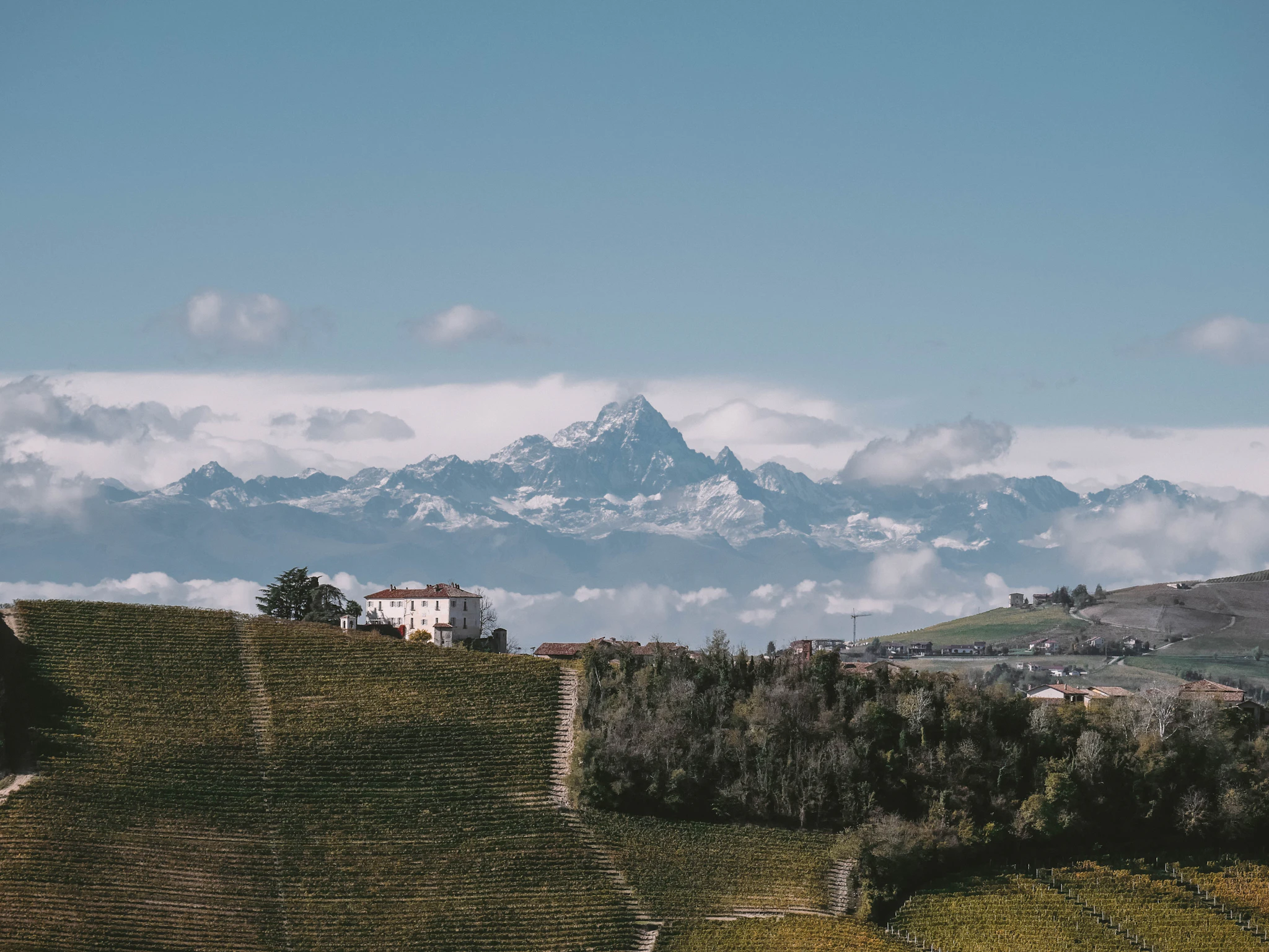 Barbaresco