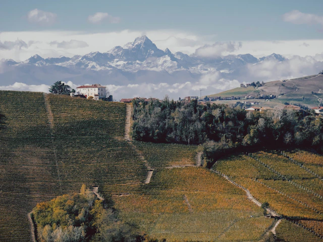 Piemont