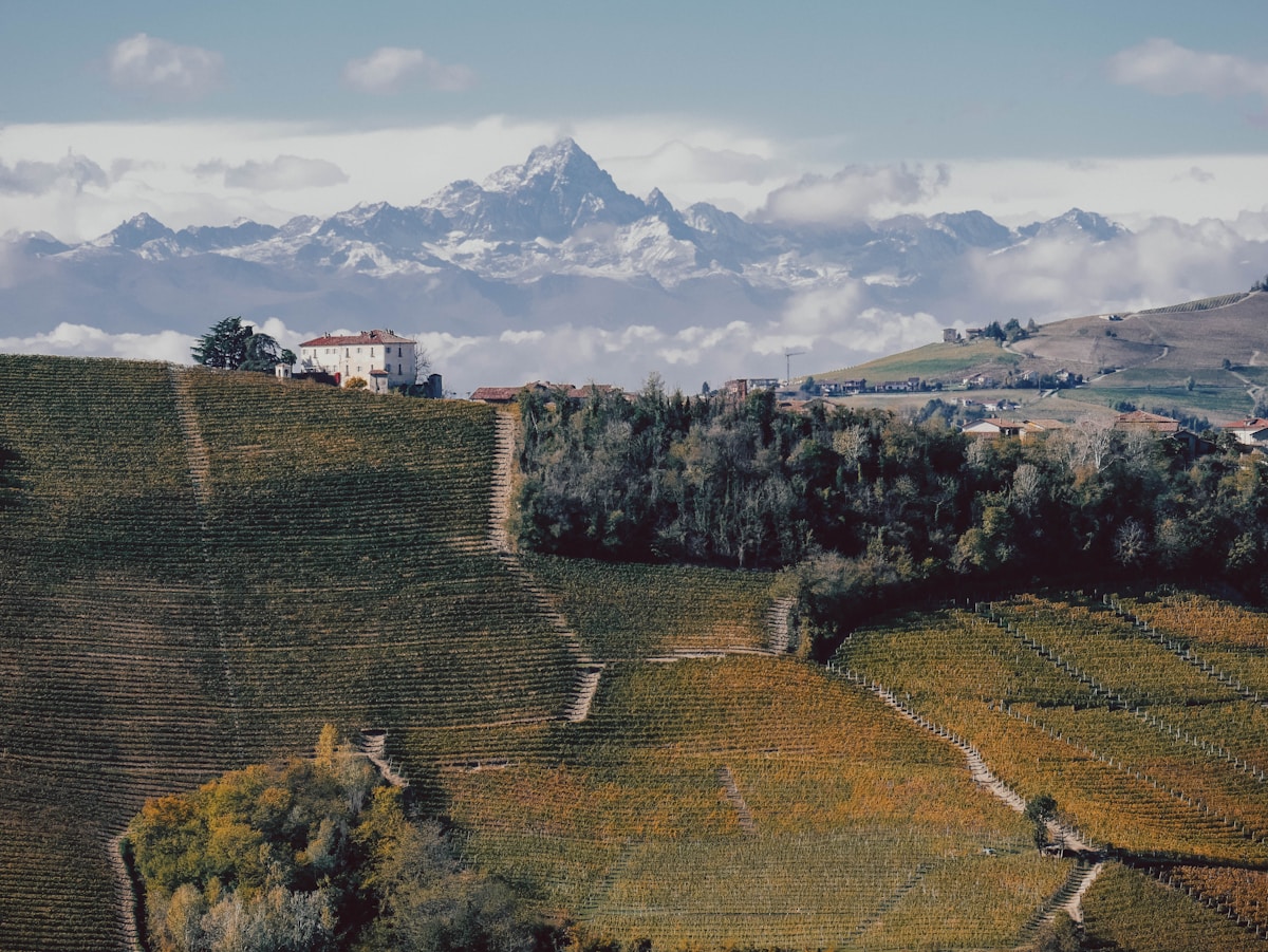 Organiser un séjour gastronomique au Piémont : le guide complet