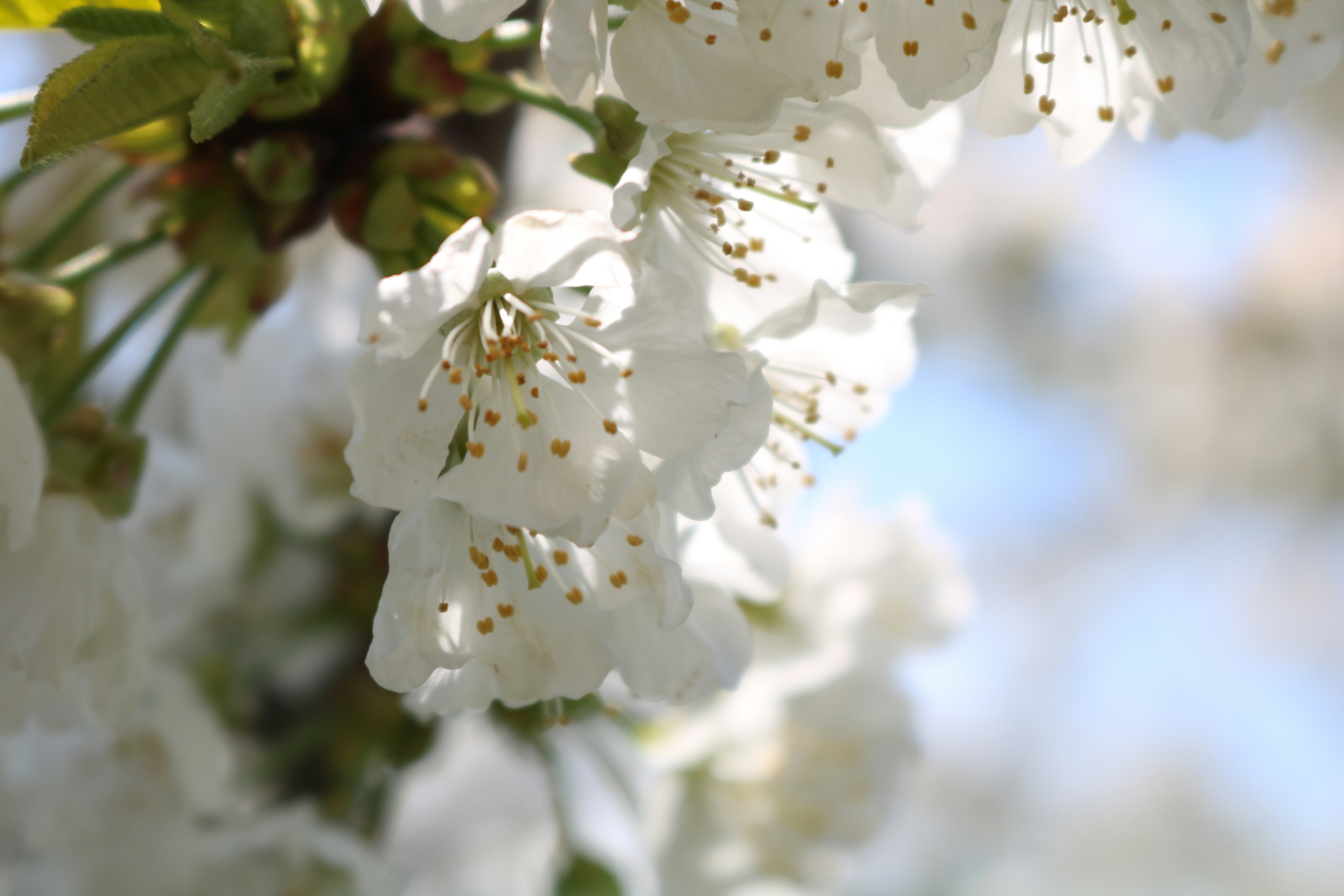 Photo by abed_zakaria