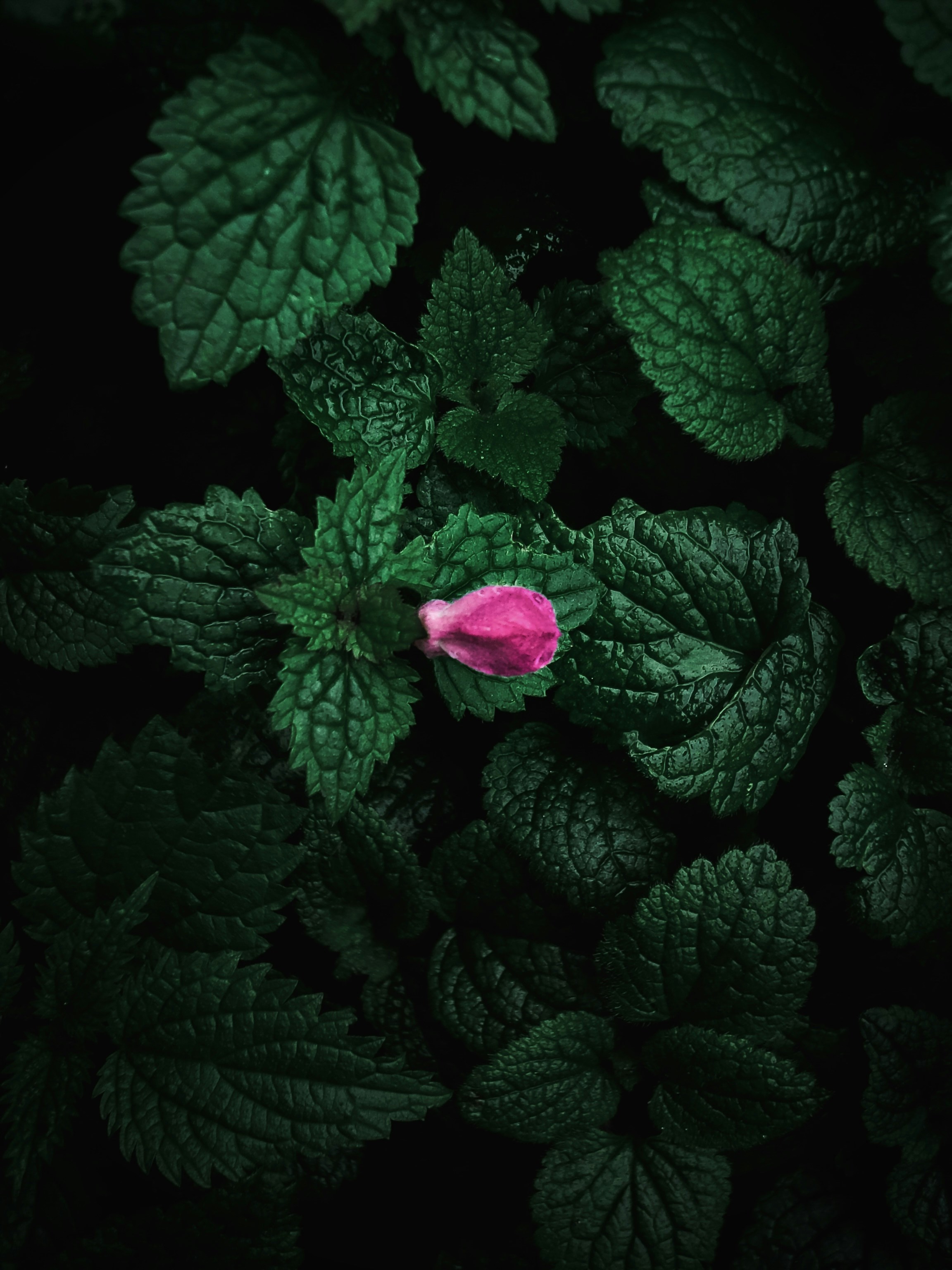 Photo by eugene_golovesov