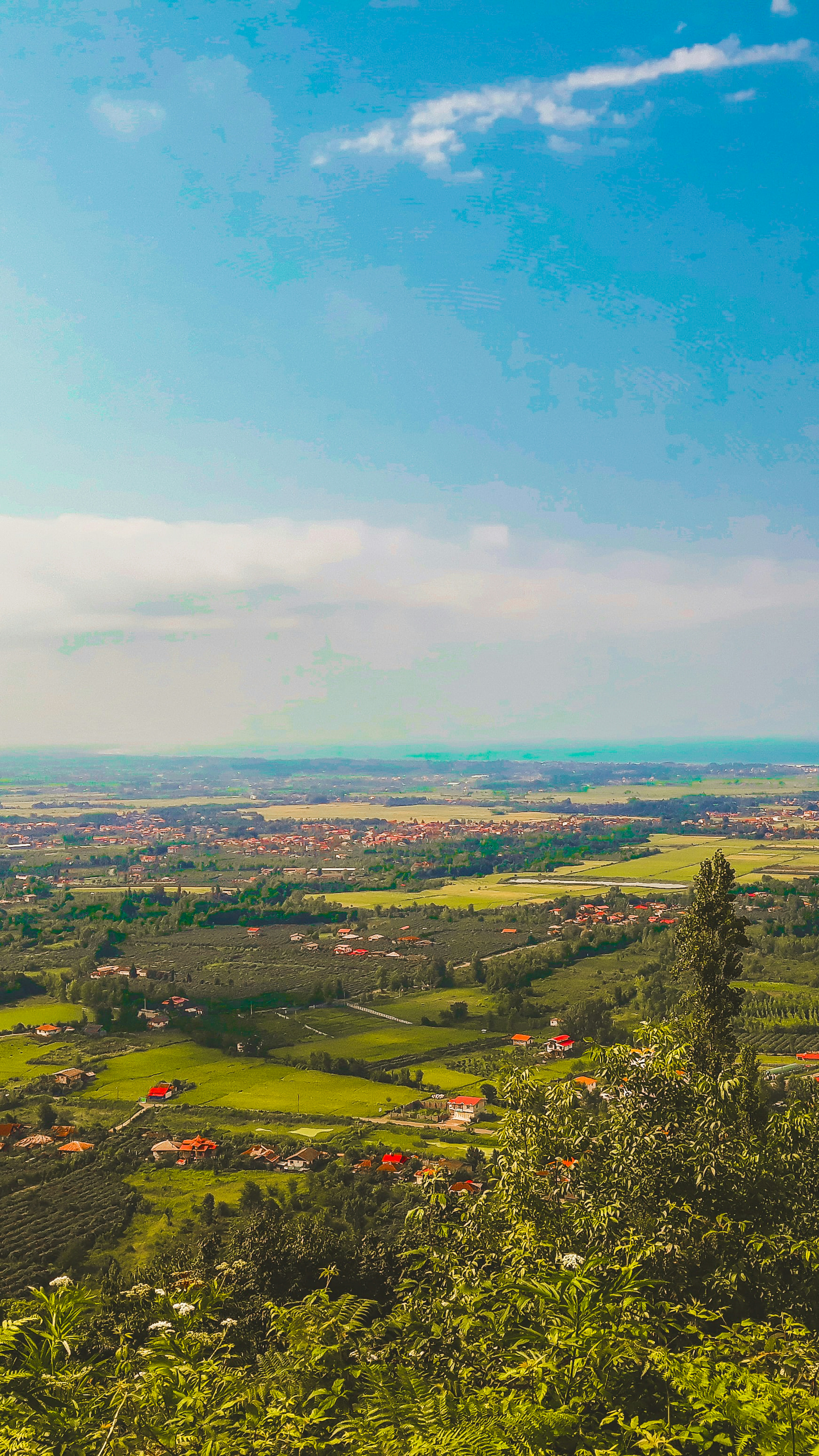 Photo by miladfattahi