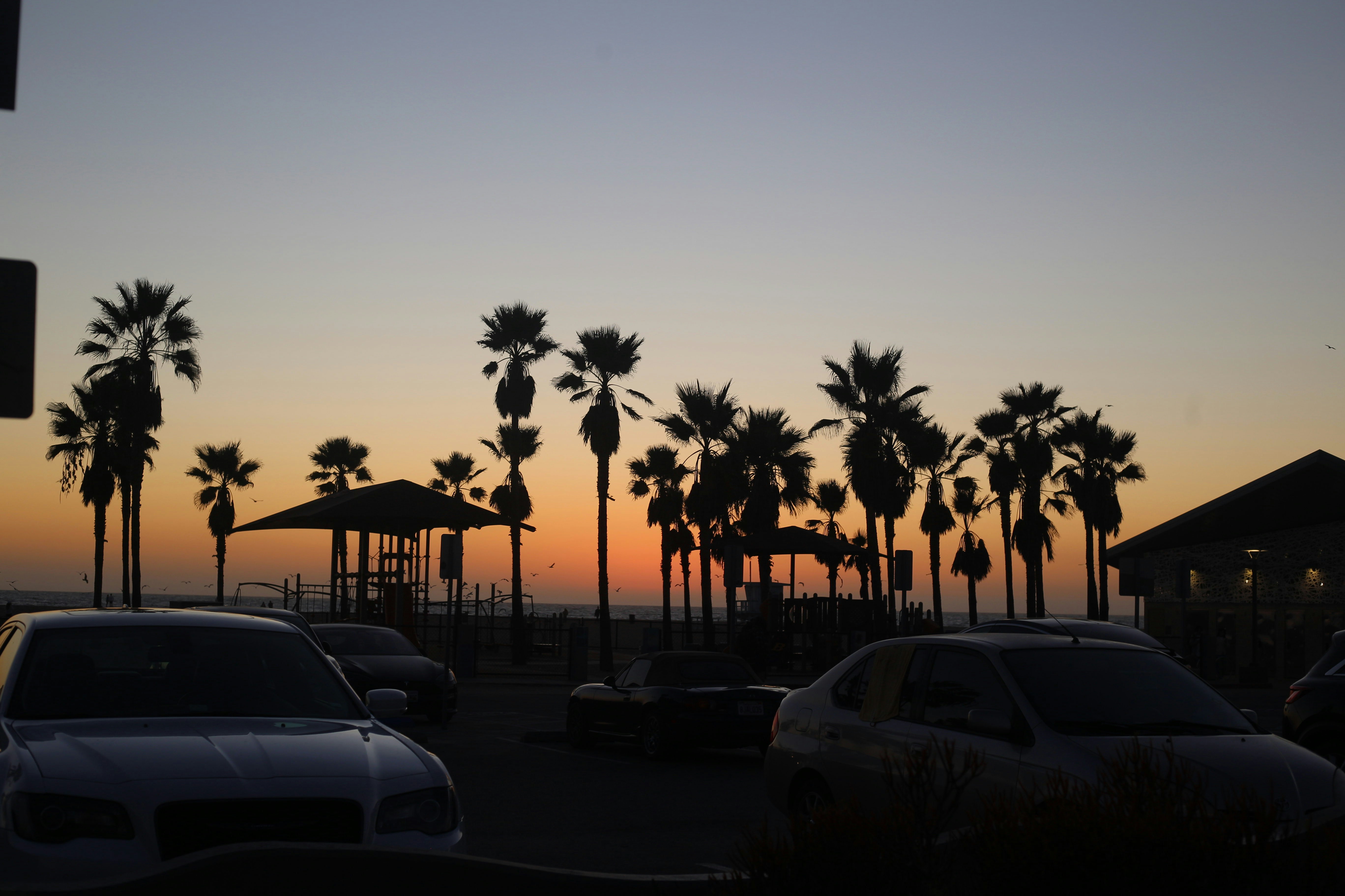 Photo by filmmakerandrea6