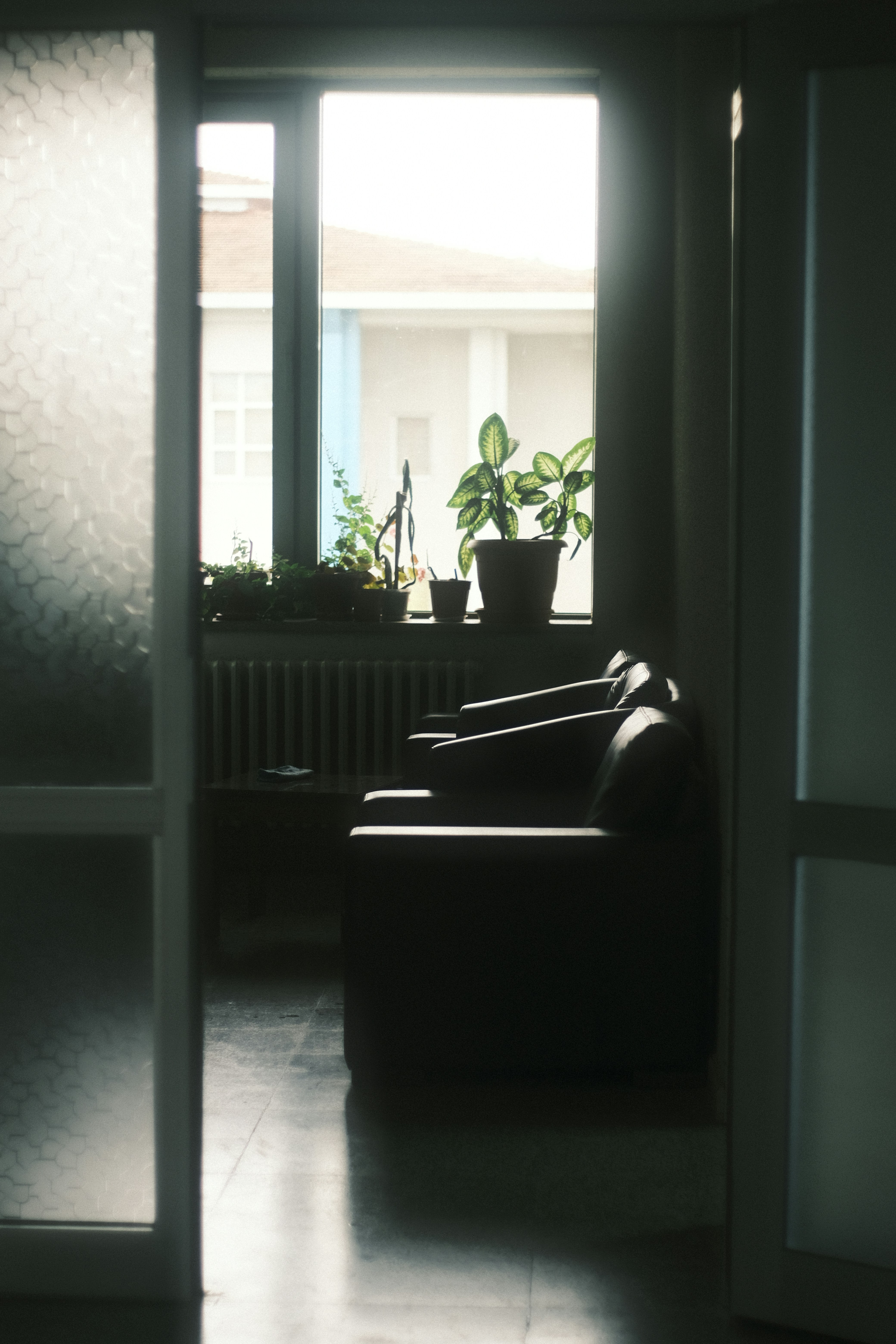 Photo by aliramazanciftci