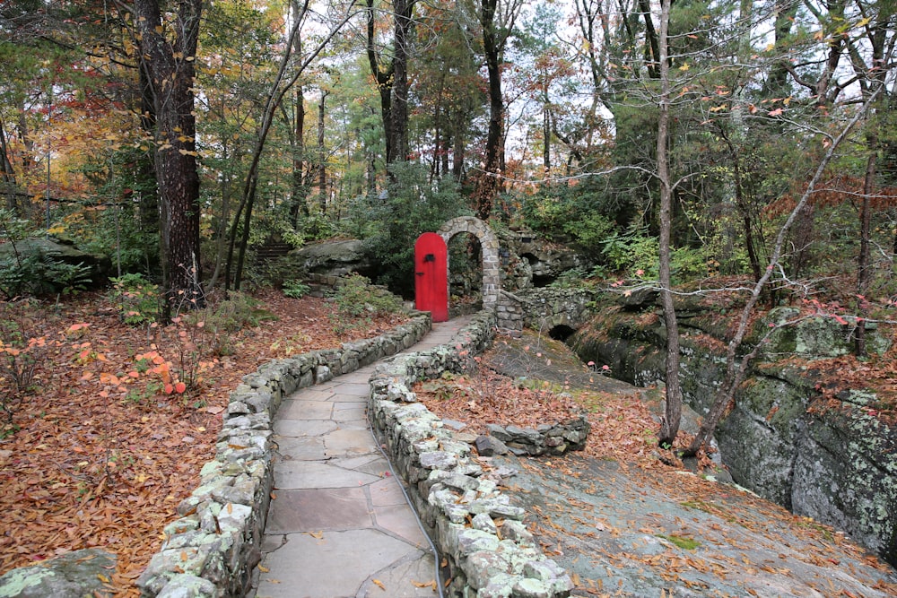 a stone path through a forest