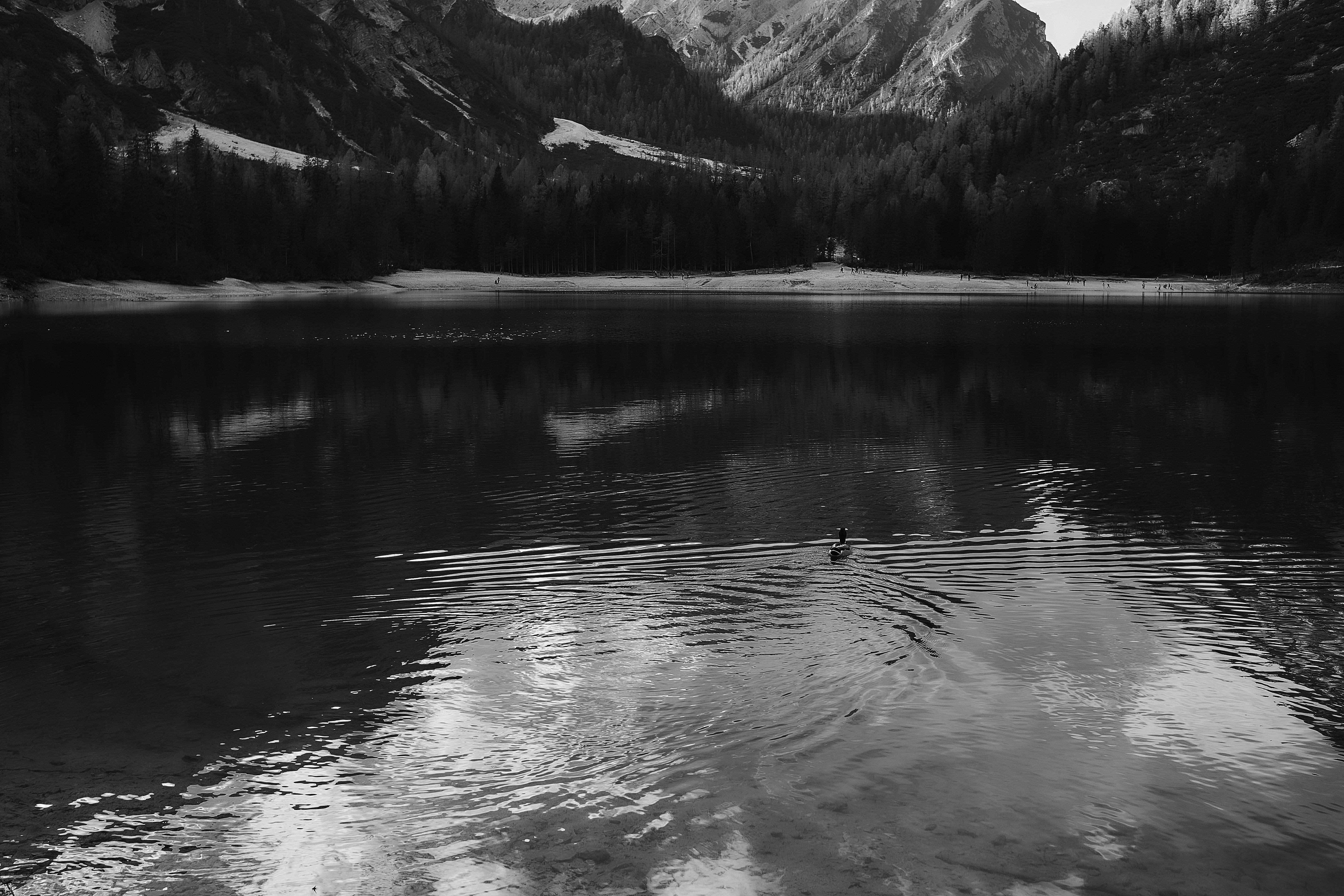 Photo by fotartistadigitale