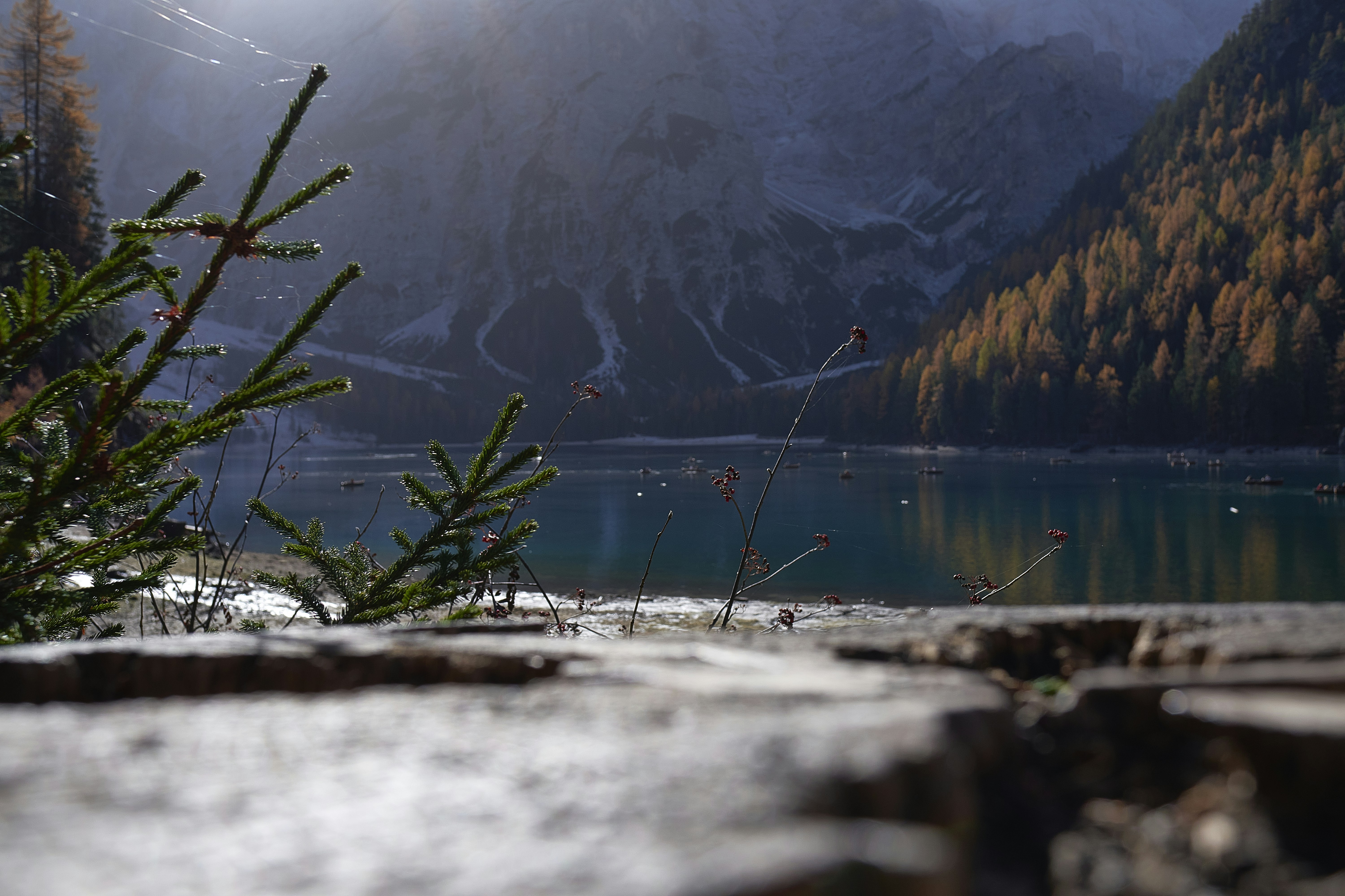 Photo by fotartistadigitale