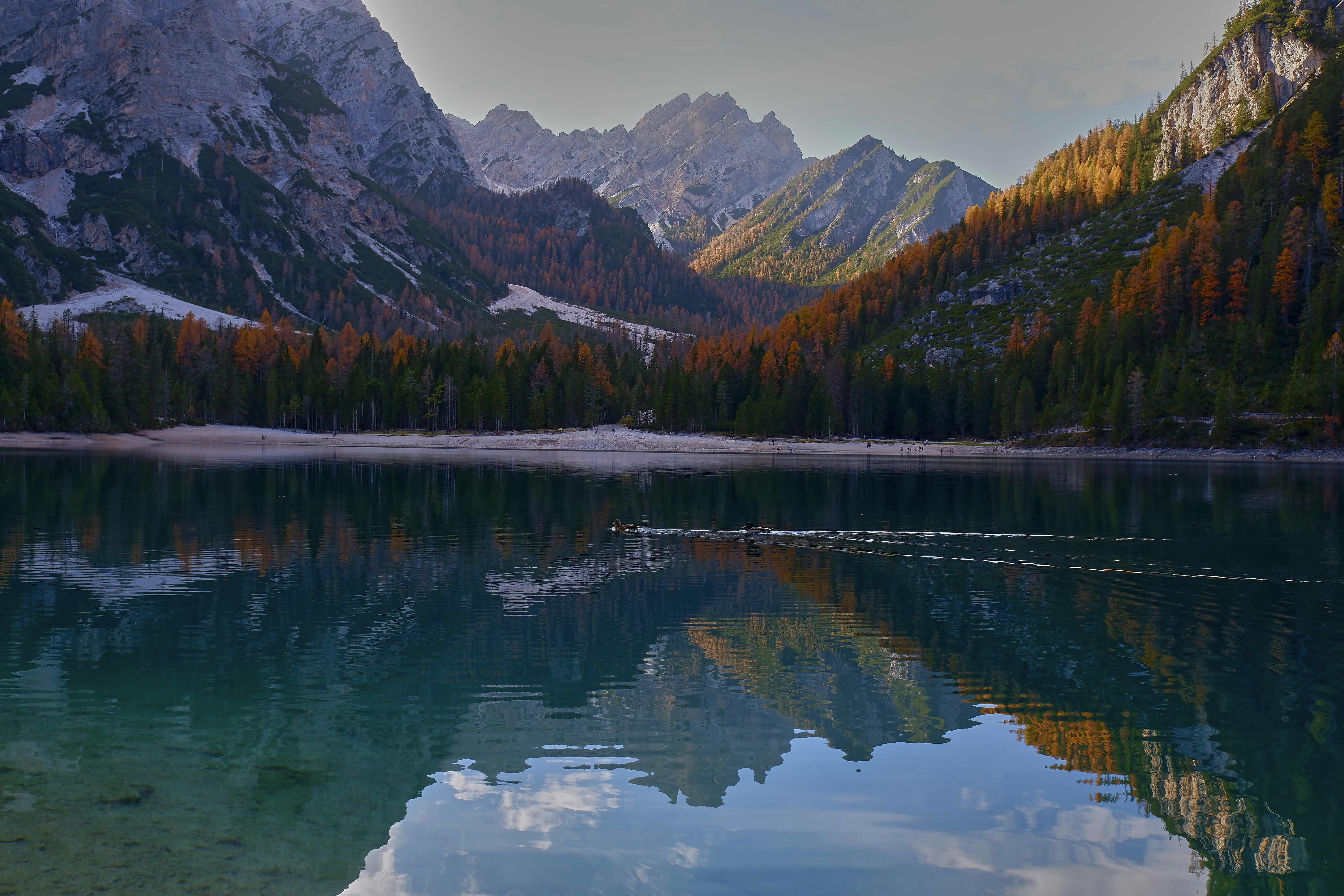 Photo by fotartistadigitale