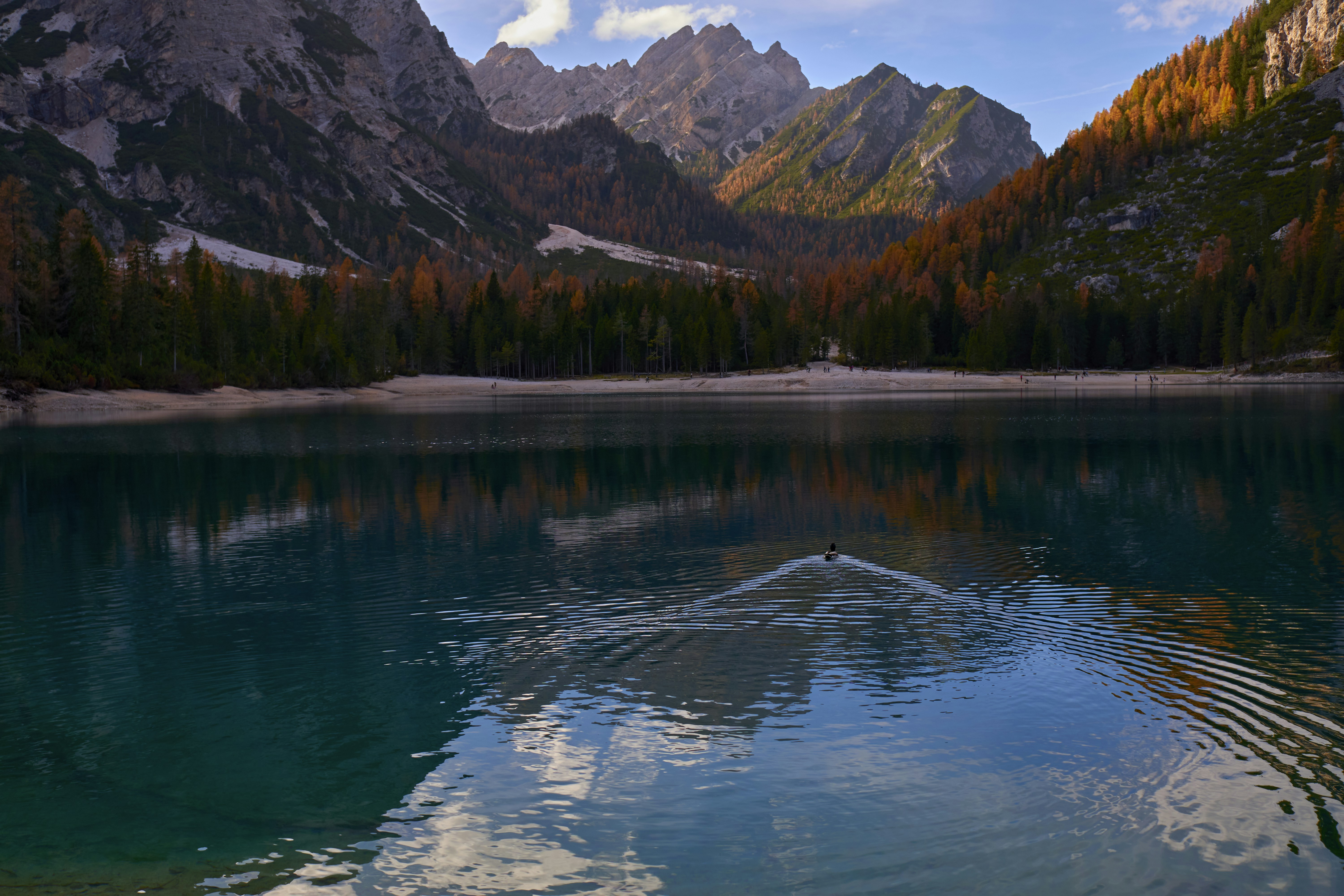 Photo by fotartistadigitale